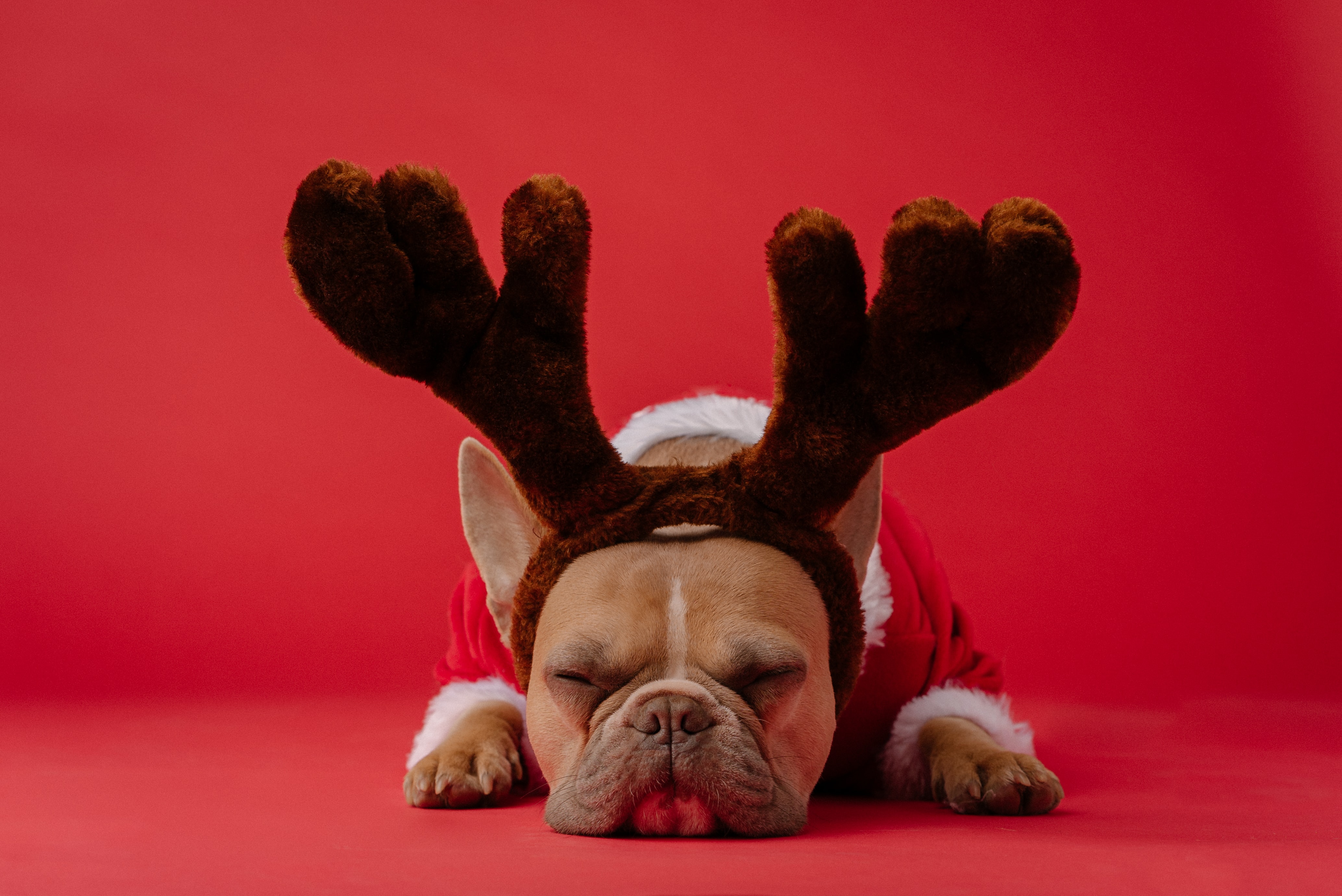 "Chouette, tous sous la table ! J'adore, cette famille !" Crédit : Karsten Winegeart/Unsplash