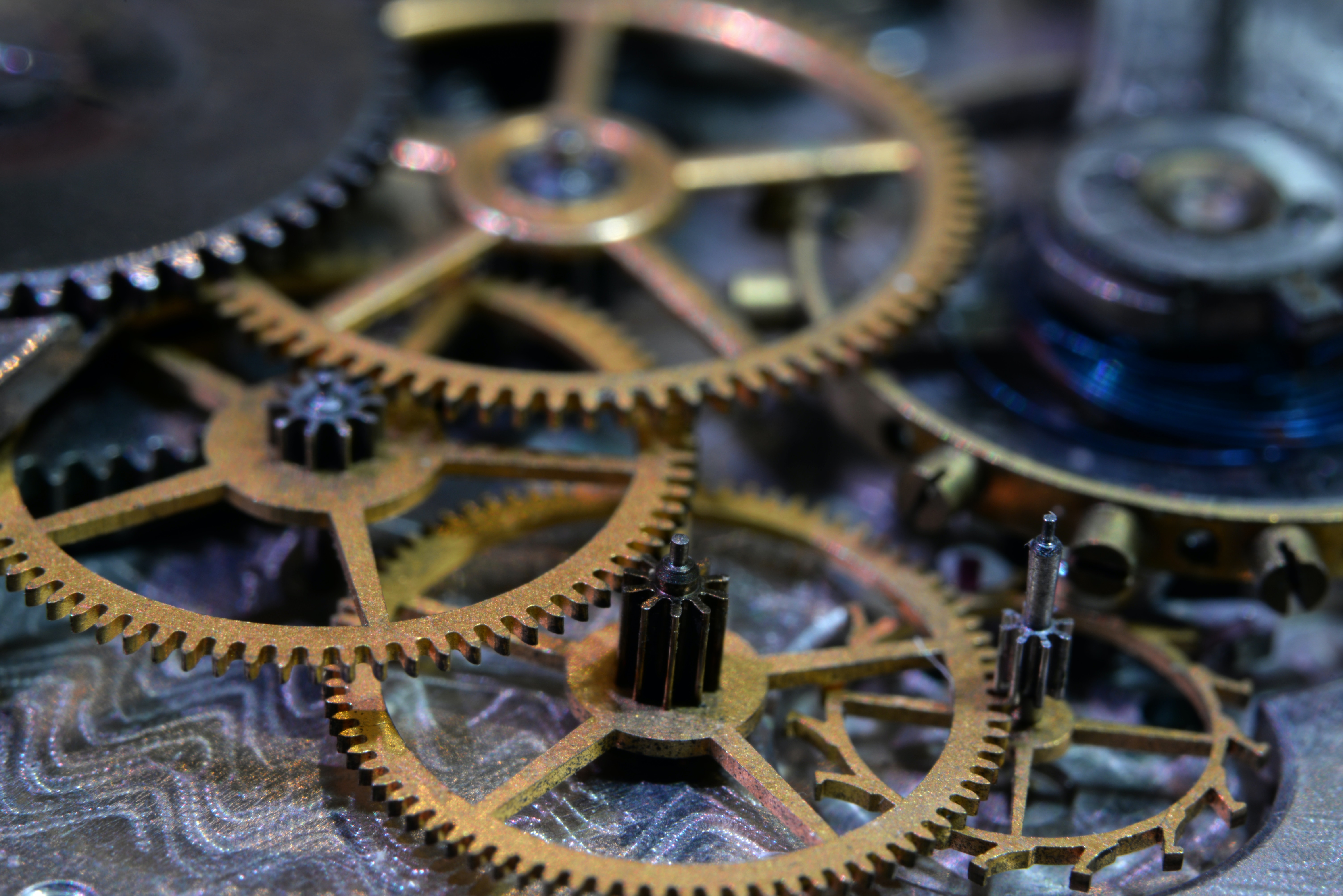 Photo : Laura Ockel/Unsplash