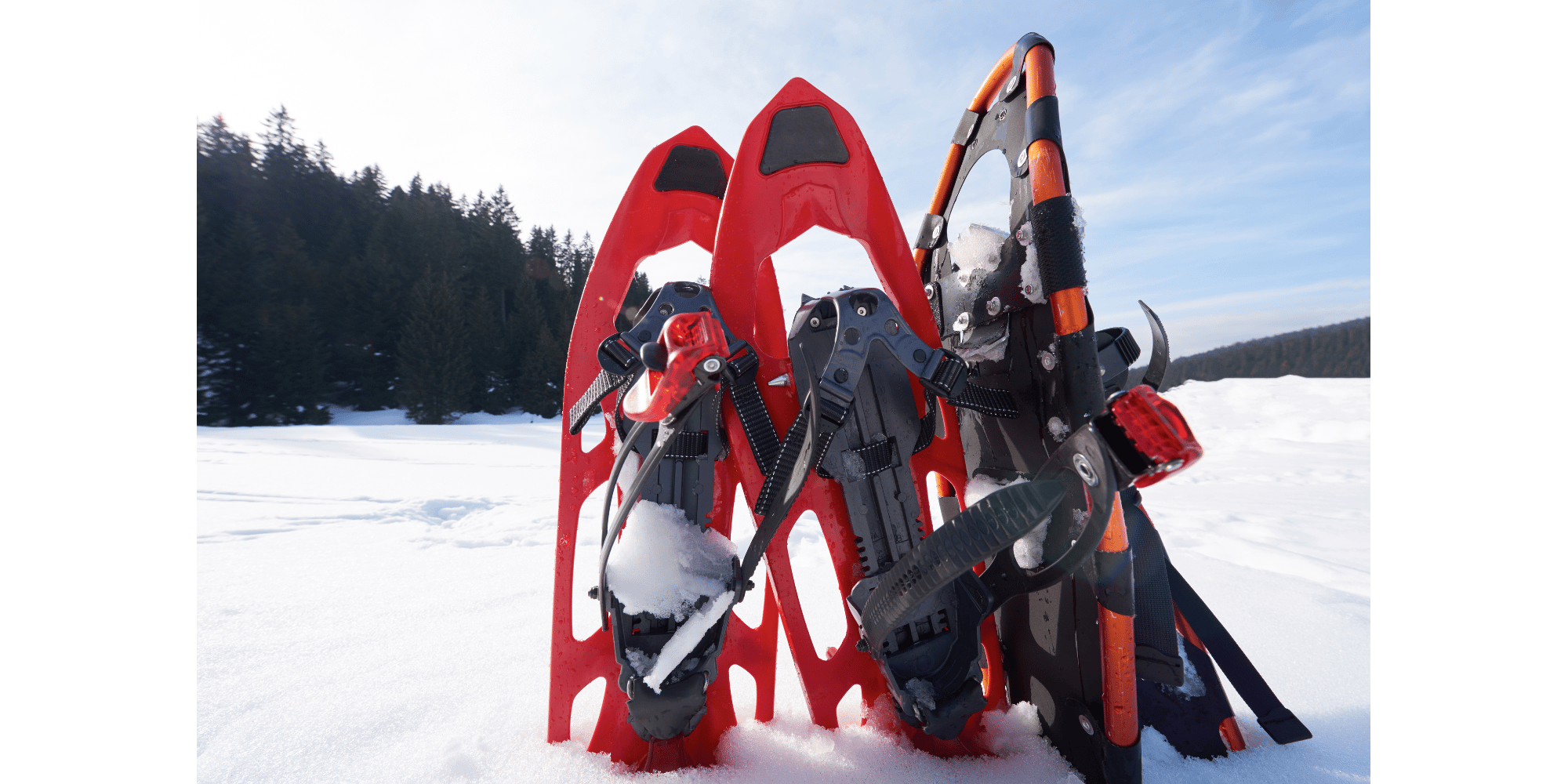 Crédit photo : Winter Snowshoes par dotshock.photo.benisarapovic