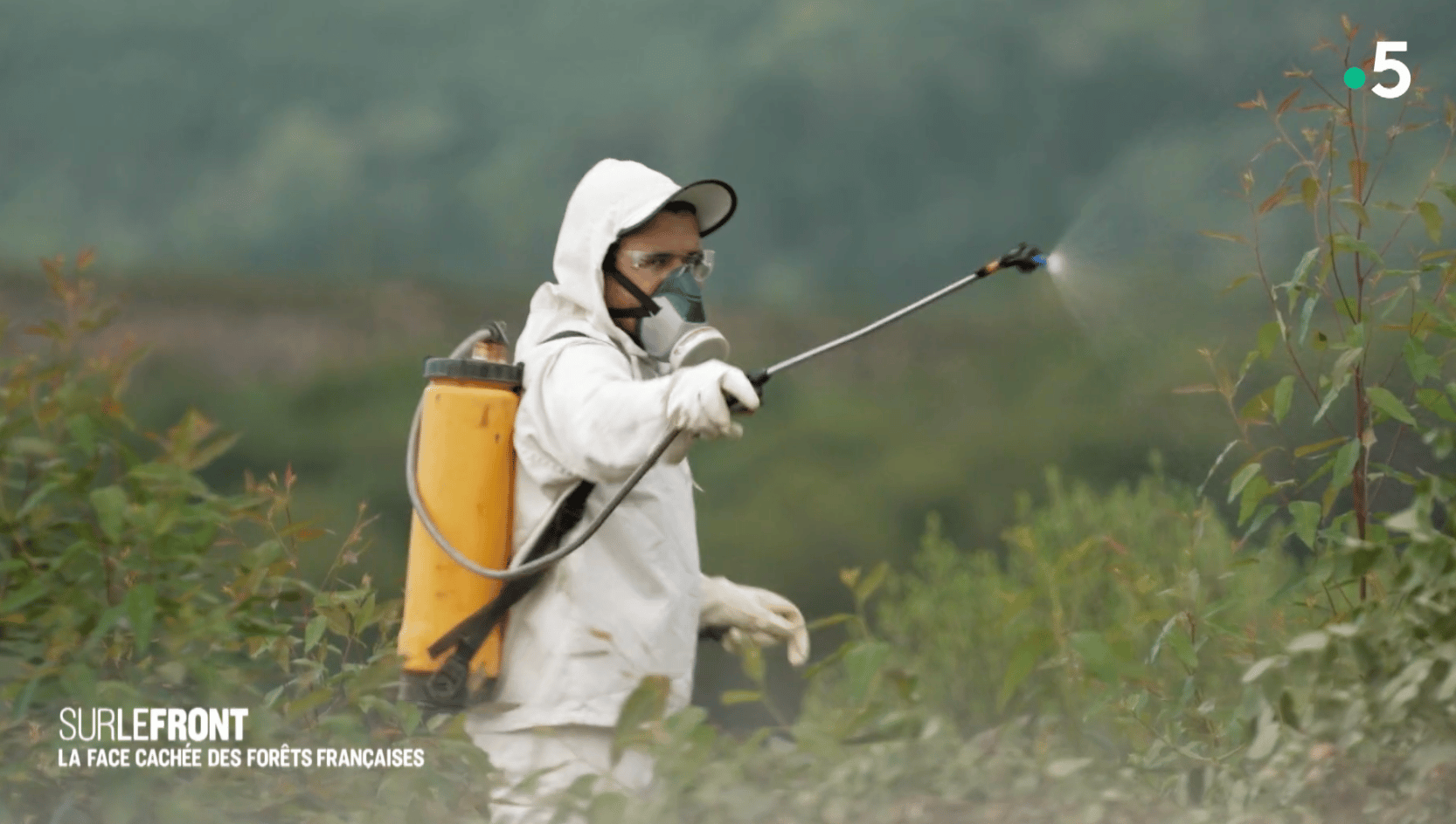 Un ouvrier brésilien épand du glyphosate entre les rangées d'arbres pour tuer toutes les autres plantes. (image Sur le front, Winter Productions)