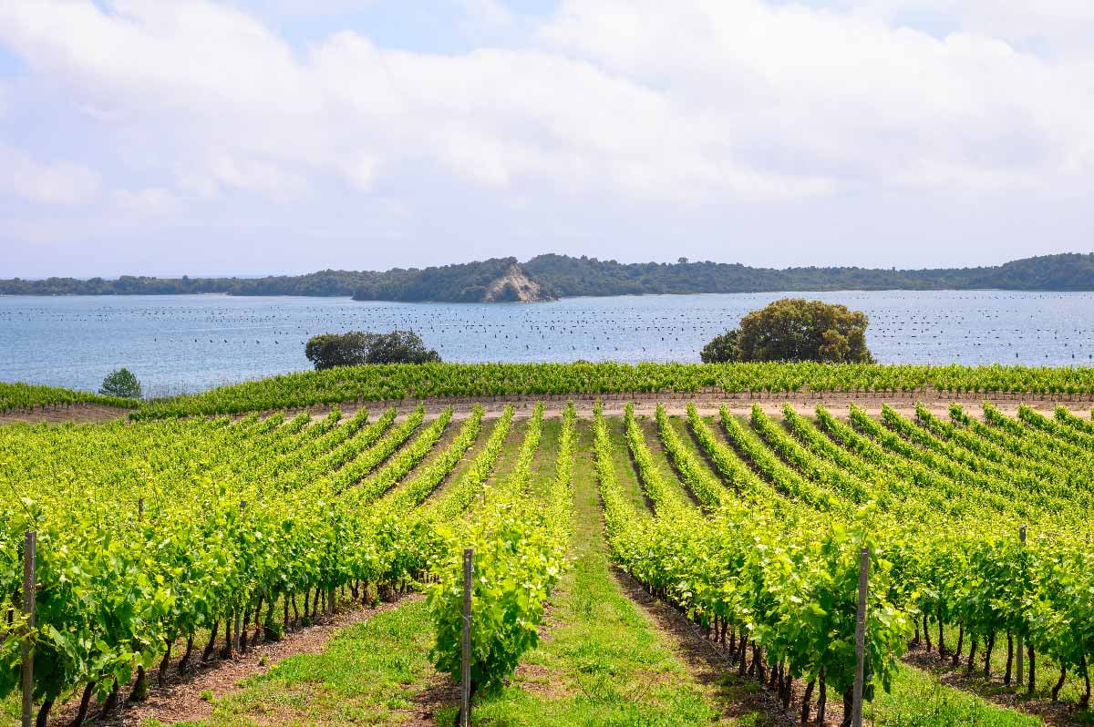 Le domaine baigné d'embruns de Terra Vecchia © DR