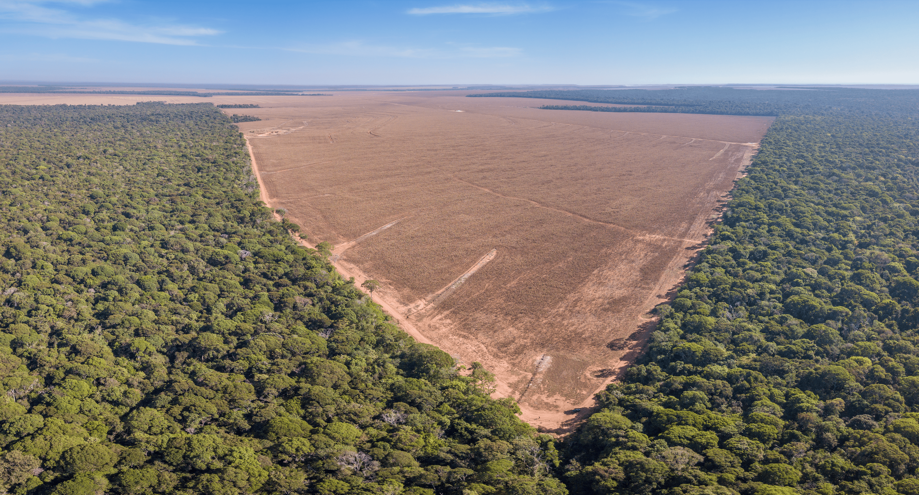 Déforestation de l’Amazonie, Mato Grosso, Brésil © iStock, Paralaxis