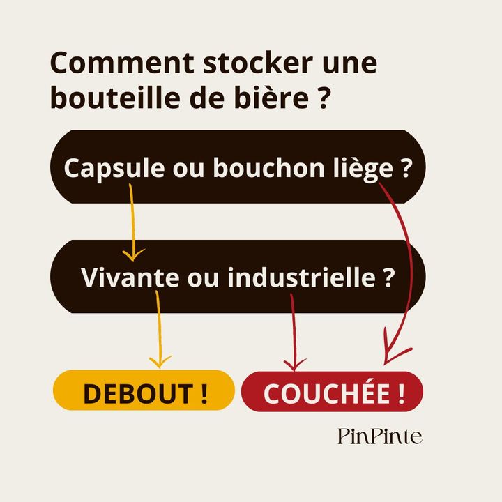Logigramme de décision pour stocker une bière debout ou couchée - PinPinte 2022