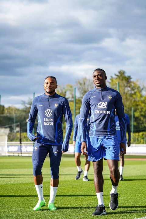 5 logos en promenade, l’air très naturel