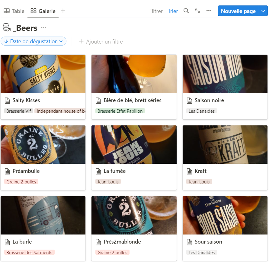 Aperçu de mes fiches sur Notion @pepperinefr