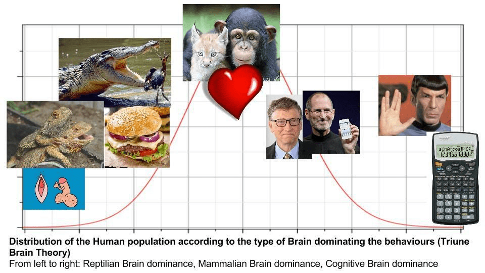 Répartition de la population Humaine en fonction de la prédominance du type de Cerveau (reptilien, mammalien ou cognitif) sur les prises de décision et le comportement : - Cerveau reptilien dévolu à la survie et à la reproduction - Cerveau mammalien dévolu aux émotions et aux relations sociales - Cerveau cognitif dévolu à l'analyse Logico-Rationnelle.