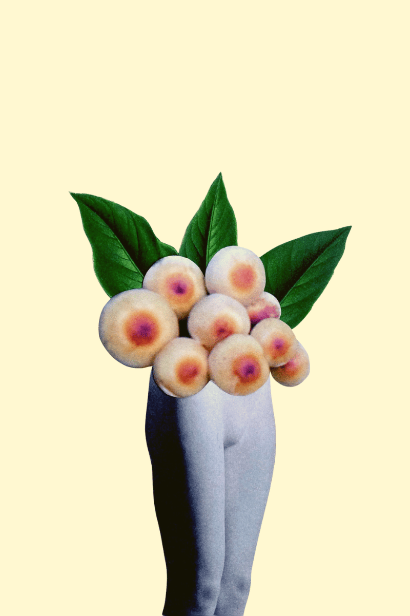 collage original : Anaïs Richardin