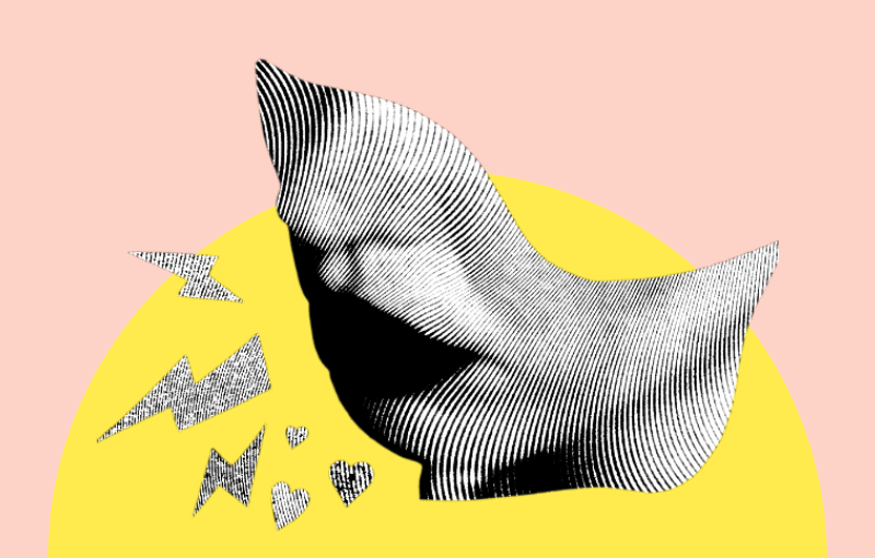 collage numérique : Anaïs Richardin