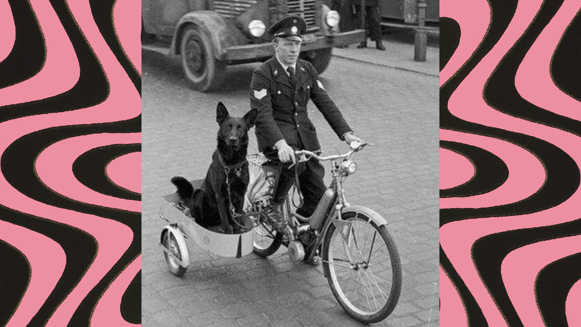 Astor, dans le side-car du policier hambourgeois Ernst Muller © Hans Meyer