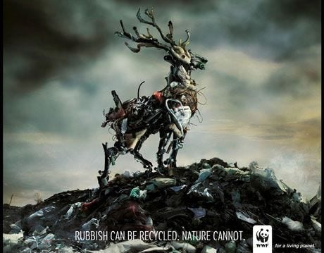 Photo extraite de la campagne de sensibilisation 0 déchet de la WWF