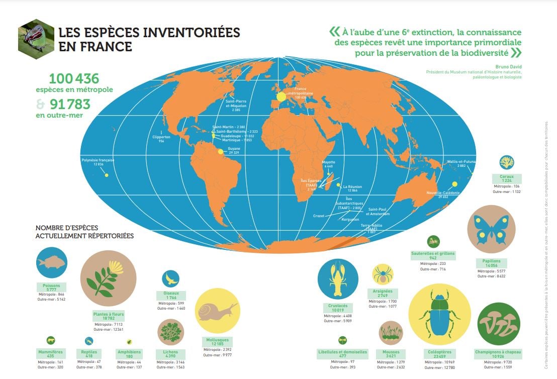 Quelles espèces en France - En pages 8 et 9 de la brochure 