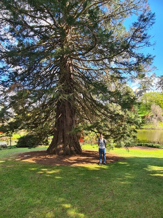 Un mec d’1m84 à côté d’un arbre un peu plus grand.