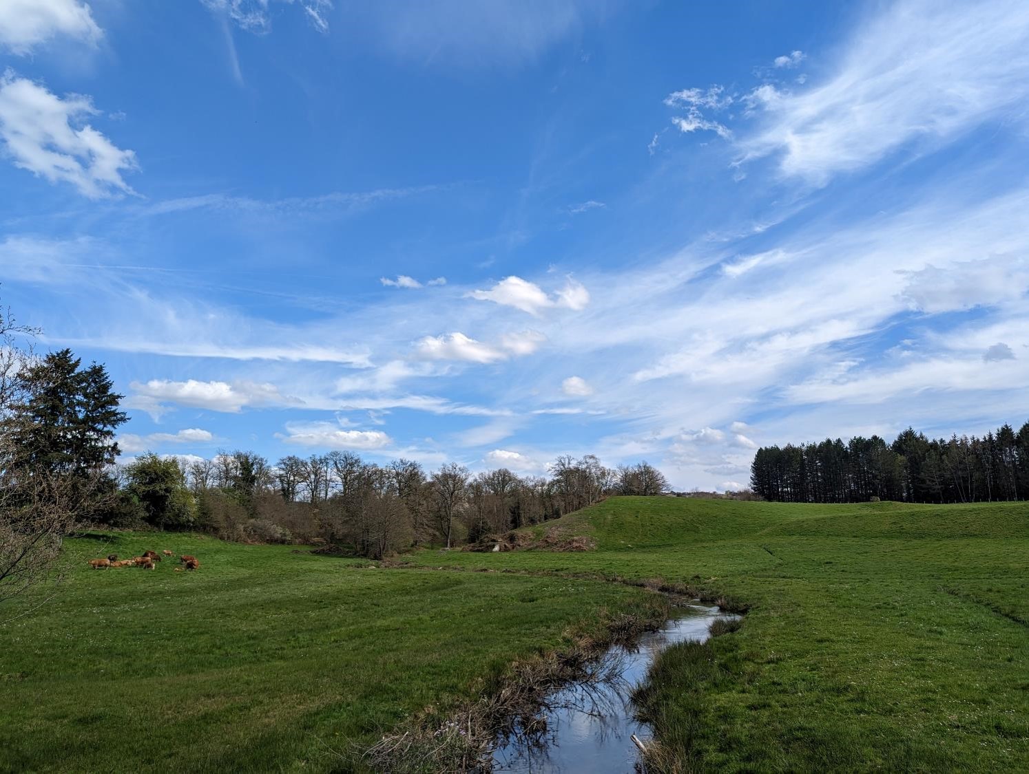 Rappel : 1€ la carte postale, mp pour paypal.