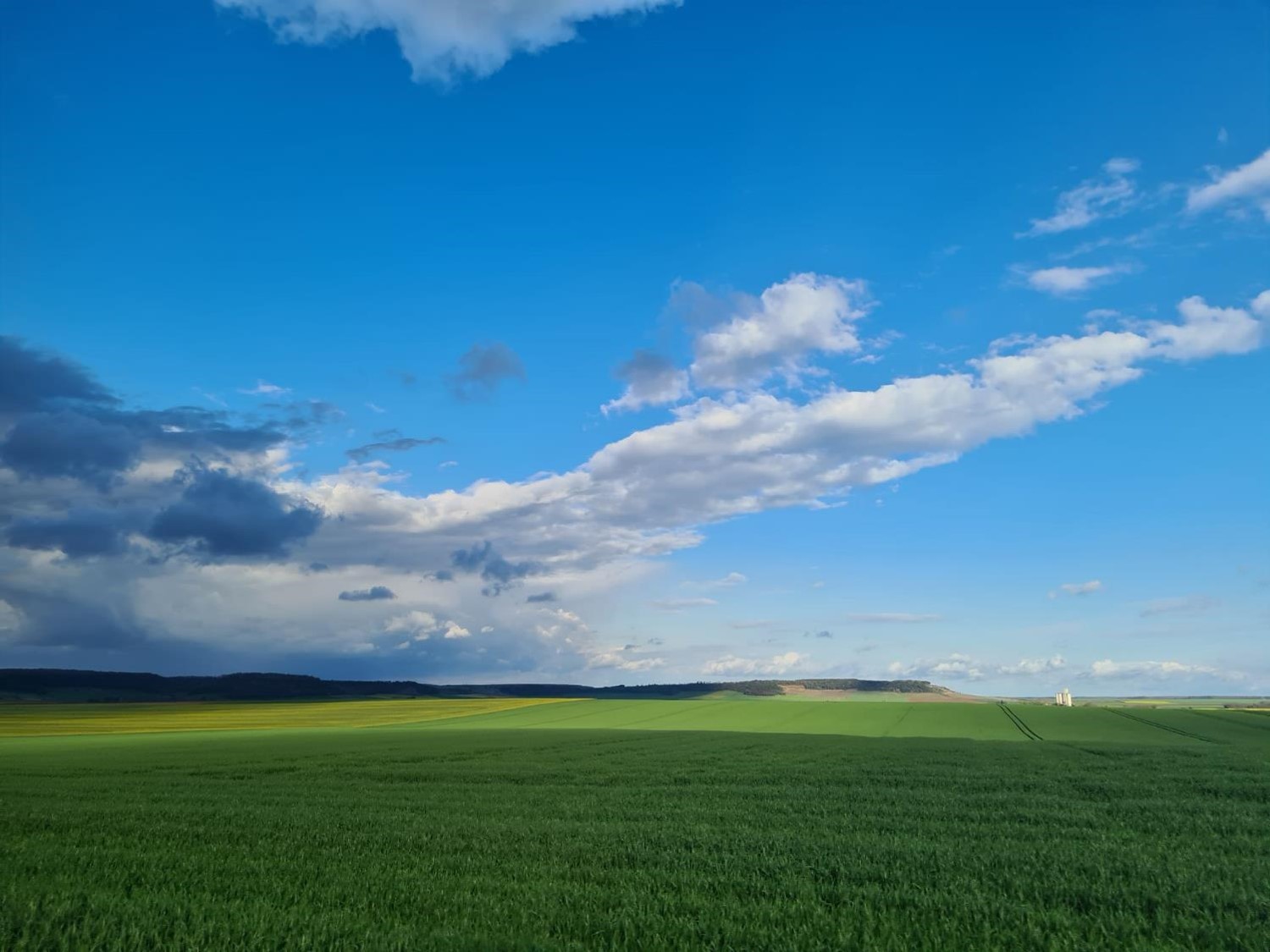 Photo à regarder en écoutant « Musique d’ordinateur » de Philippe Katerine.