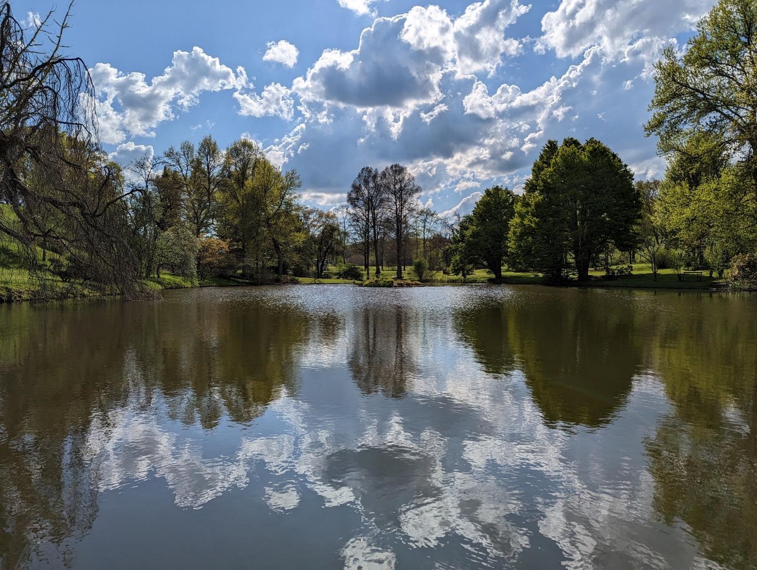 Des arbres, de l’herbe, des nuages et le ciel qui se baignent.