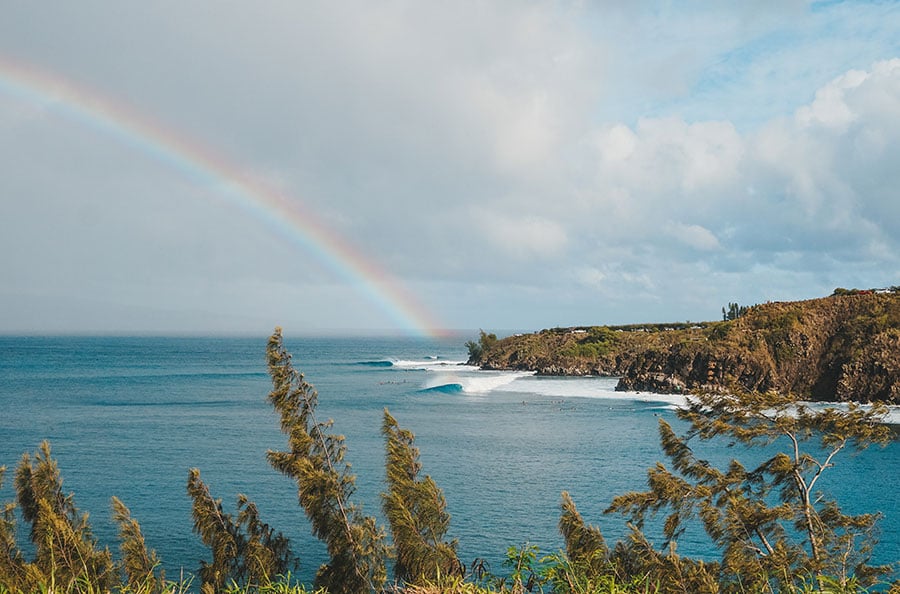 « Maui : aucun intérêt. Je répète, Maui : aucun intérêt. »