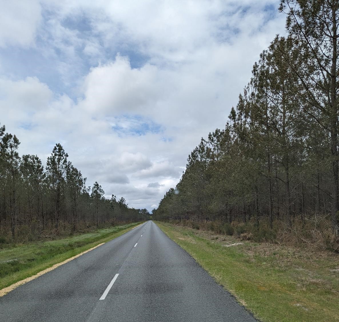 Des pins, la route, des pins, la route… L’ennui.