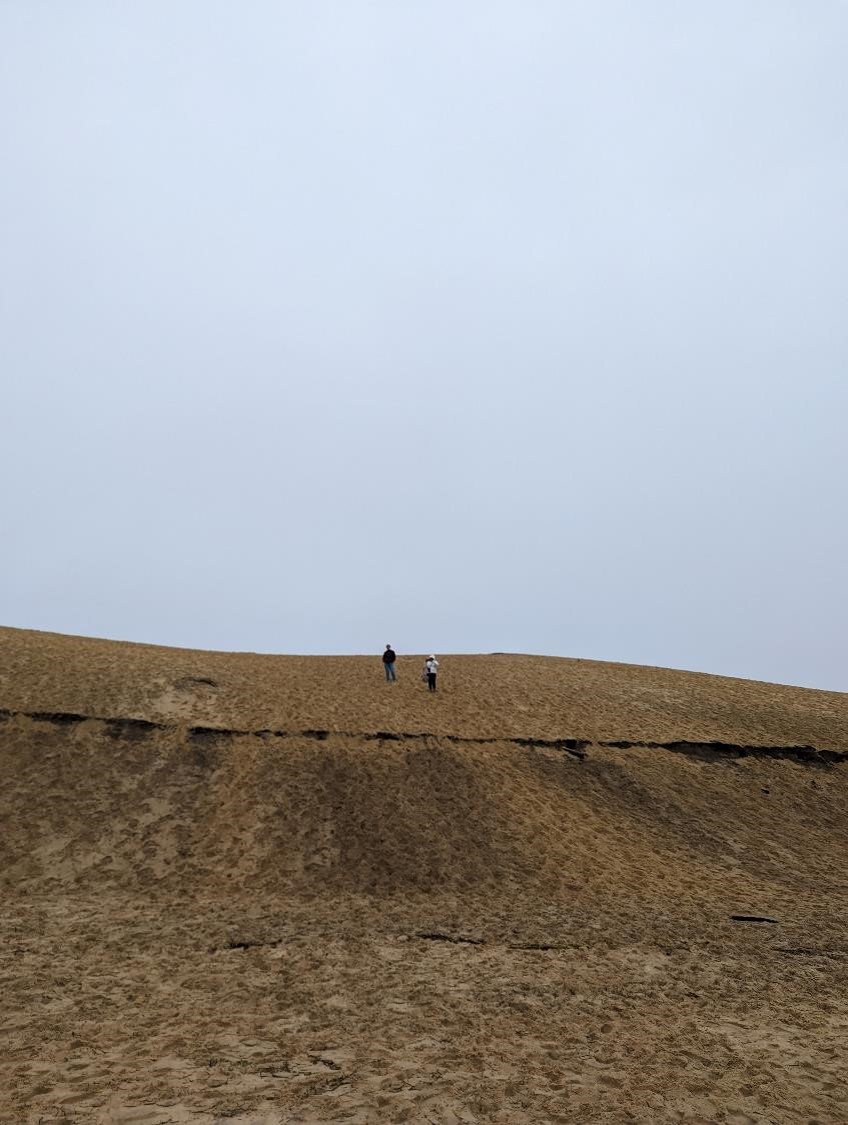 Des traces des incendies de l’an dernier, visibles jusque dans le sable (et la température anormalement chaude de l’eau).