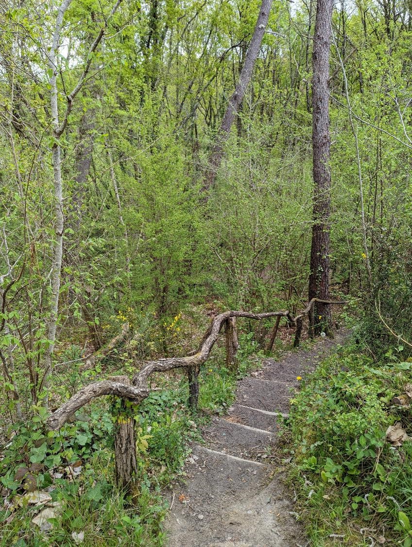 Un escalier au naturel.