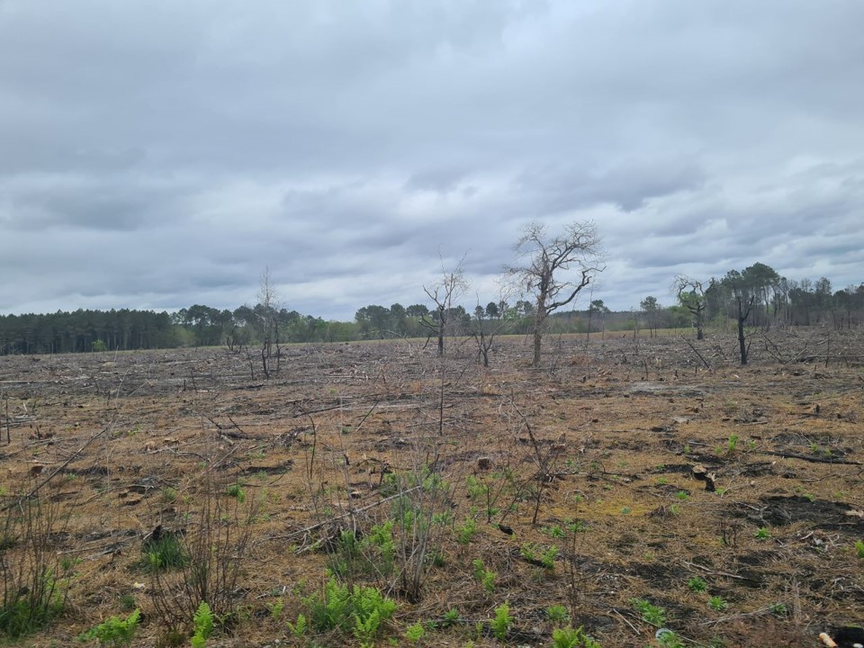 Puis des paysages dévastés par les feux de 2022… La tristesse.