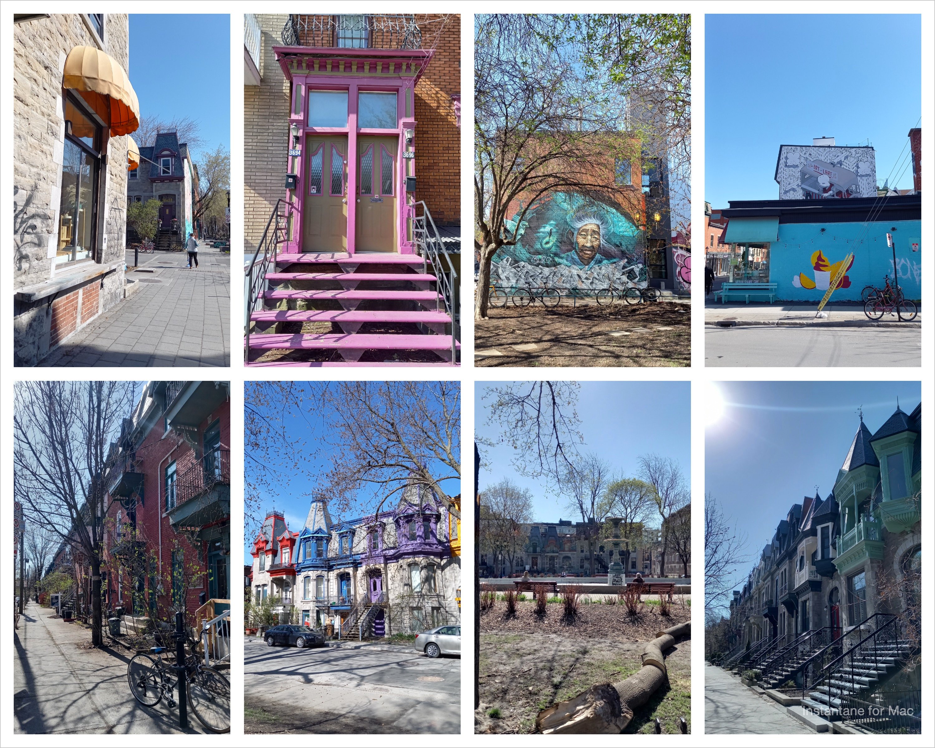Montréal sous le soleil ☀️ balade dans le quartier, on observe le Printemps s'installer doucement...
