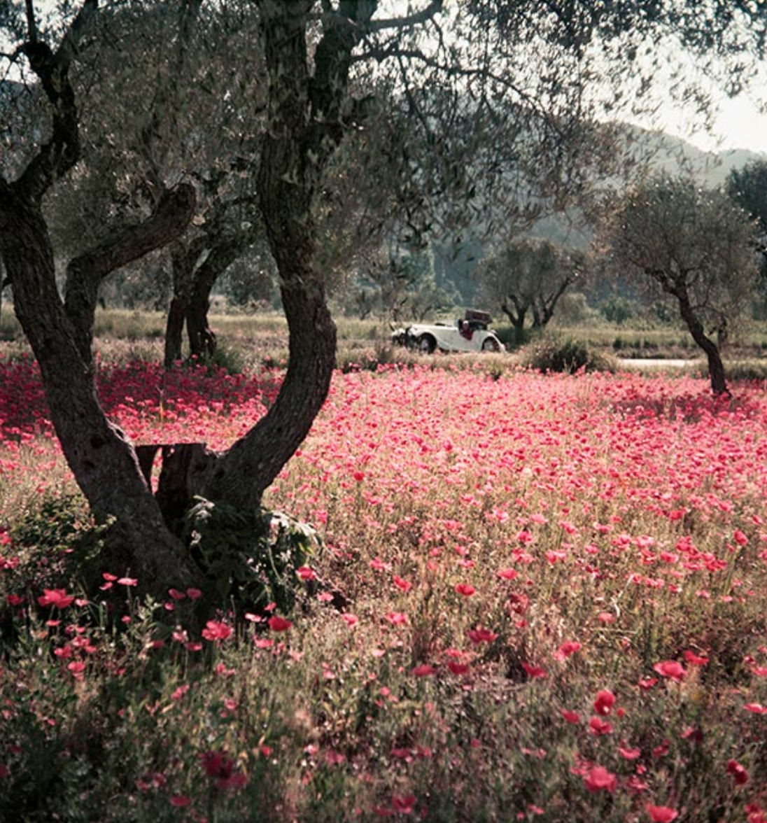Jacques Henri Lartigue, Florette dans la Morgan, Provence, 1954