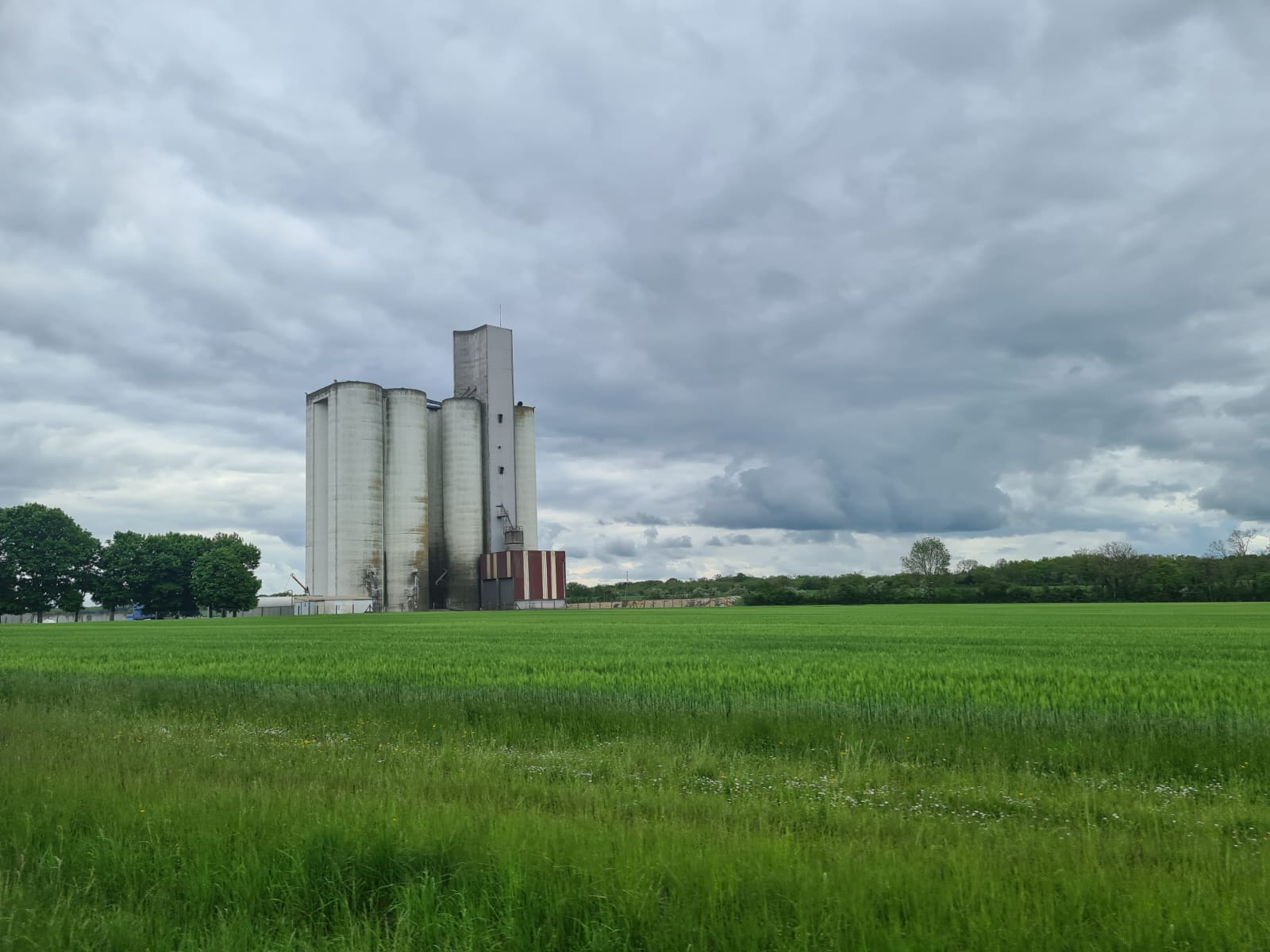 La célèbre cathédrale de Soufflet Agriculture.