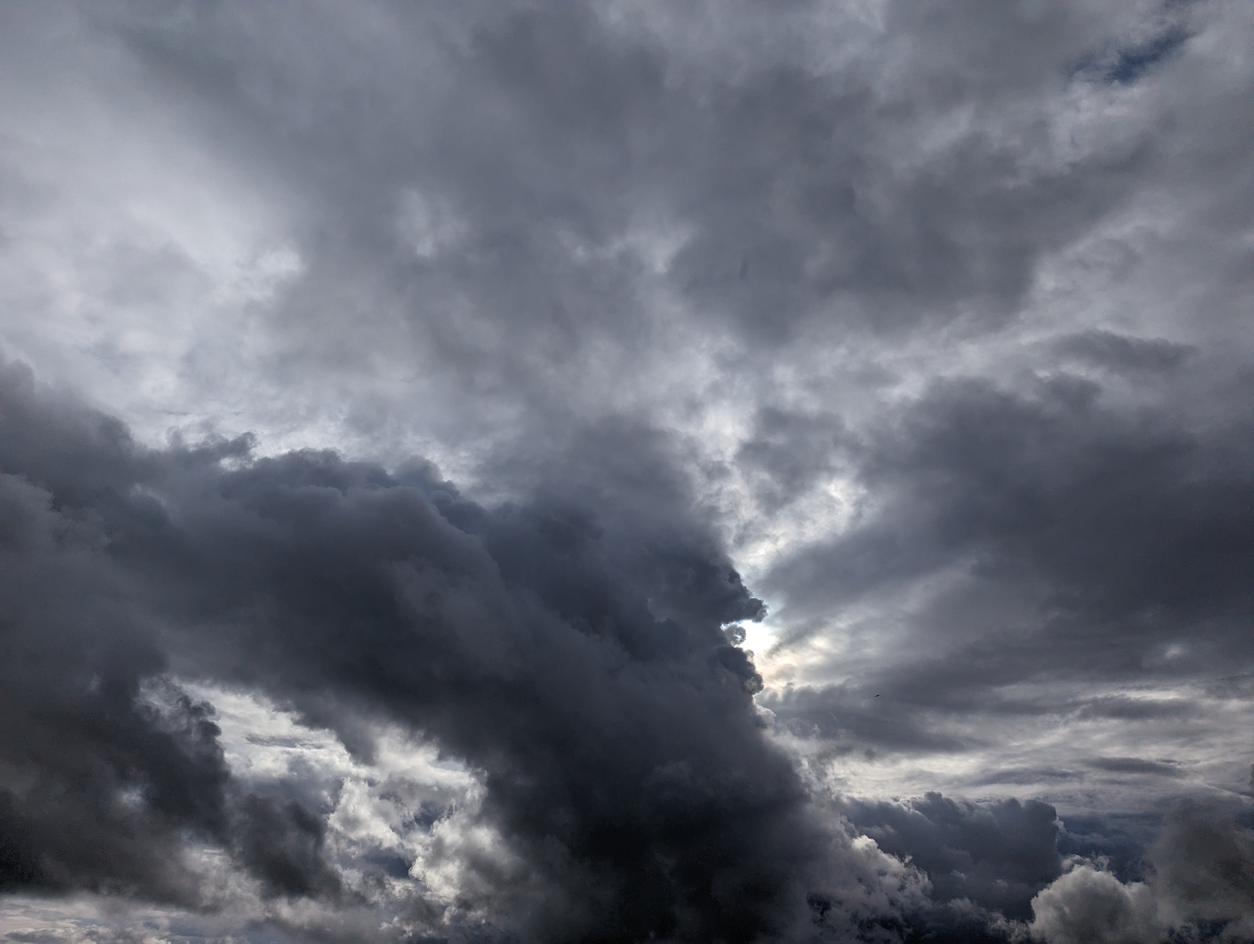 Un temps chargé dans lequel j’ai aperçu le profil de Zeus.