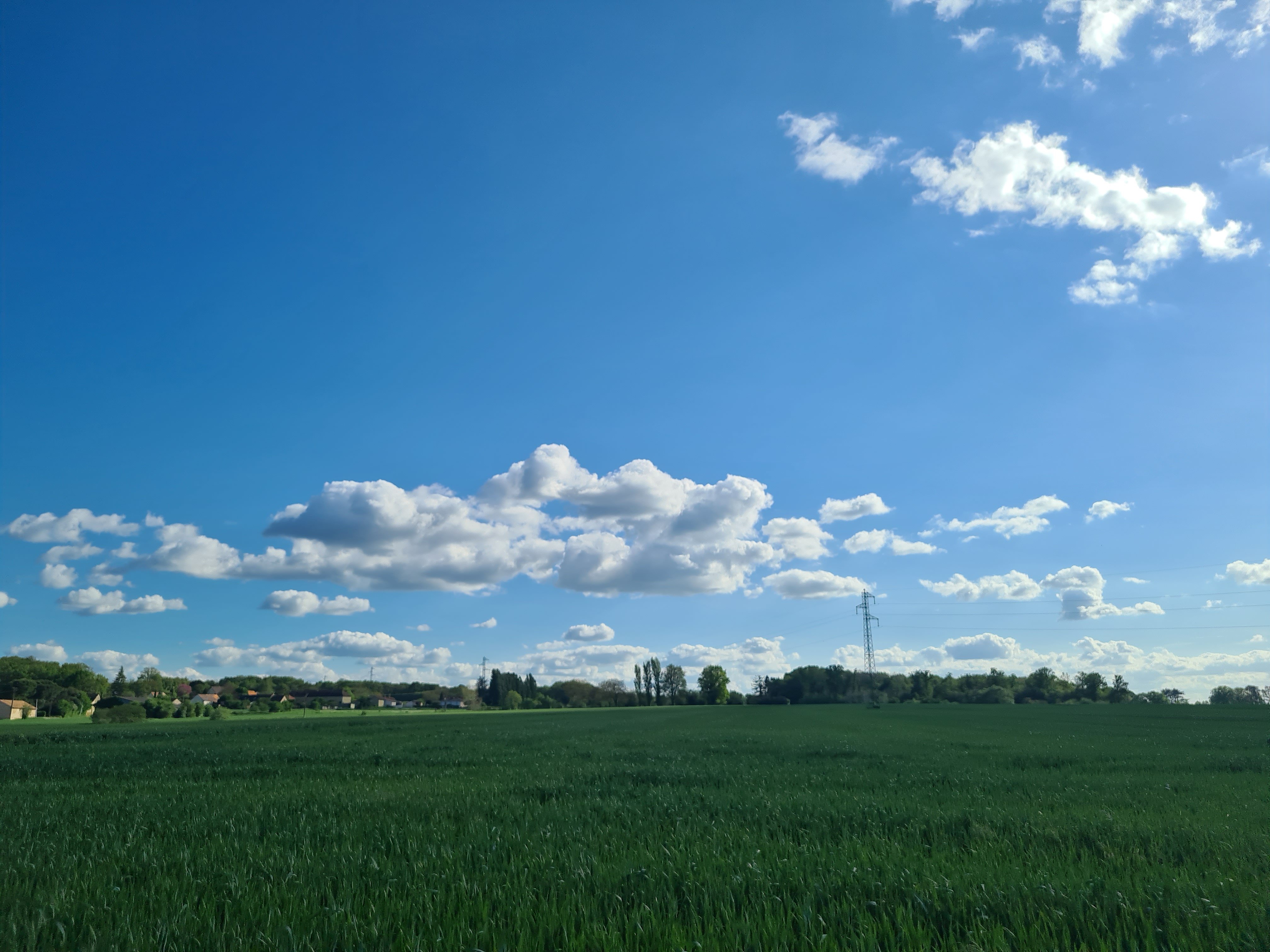 Clélia est prise à son tour d’une passion pour les nuages.