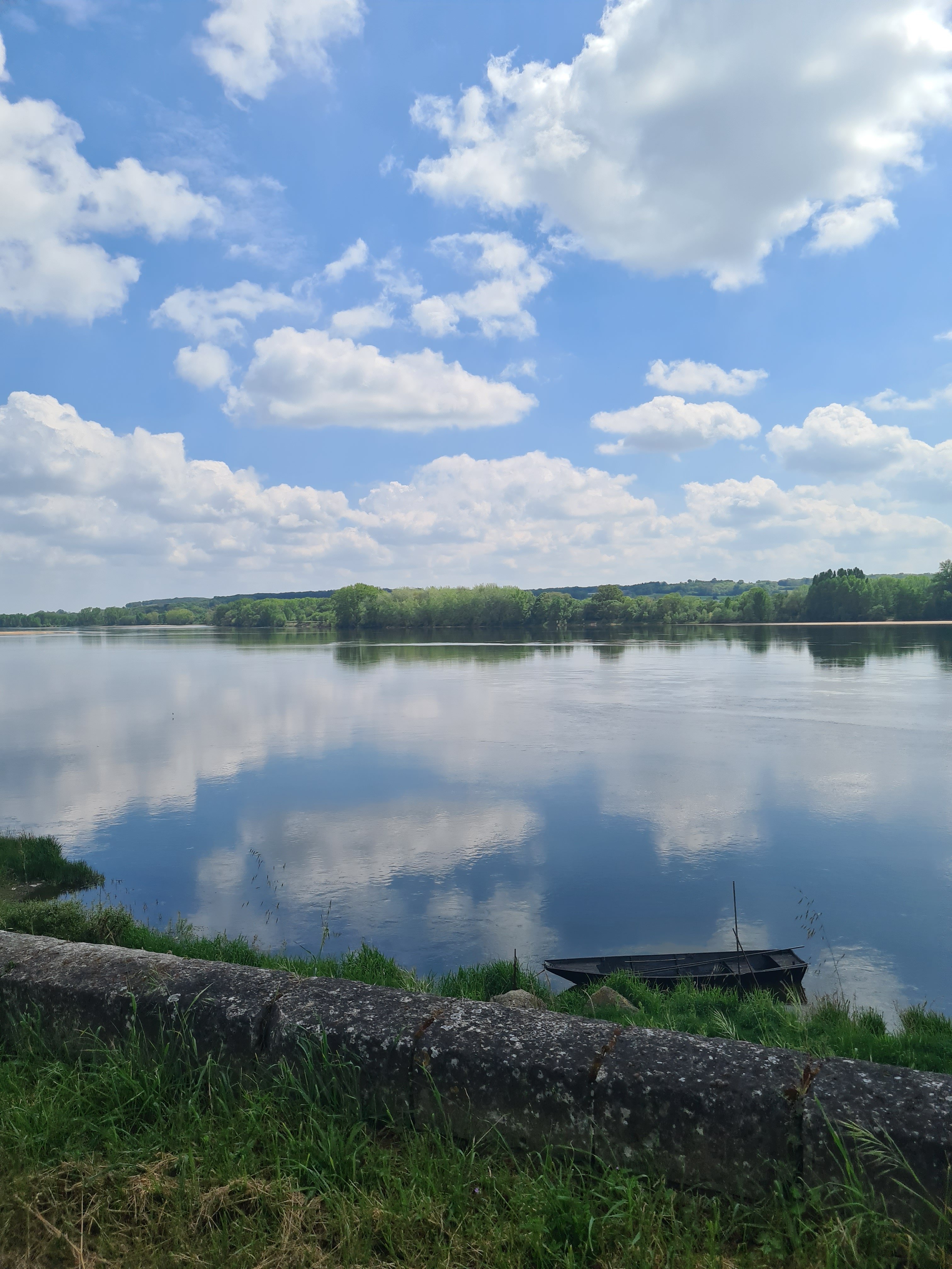 La Loire vu du bord.
