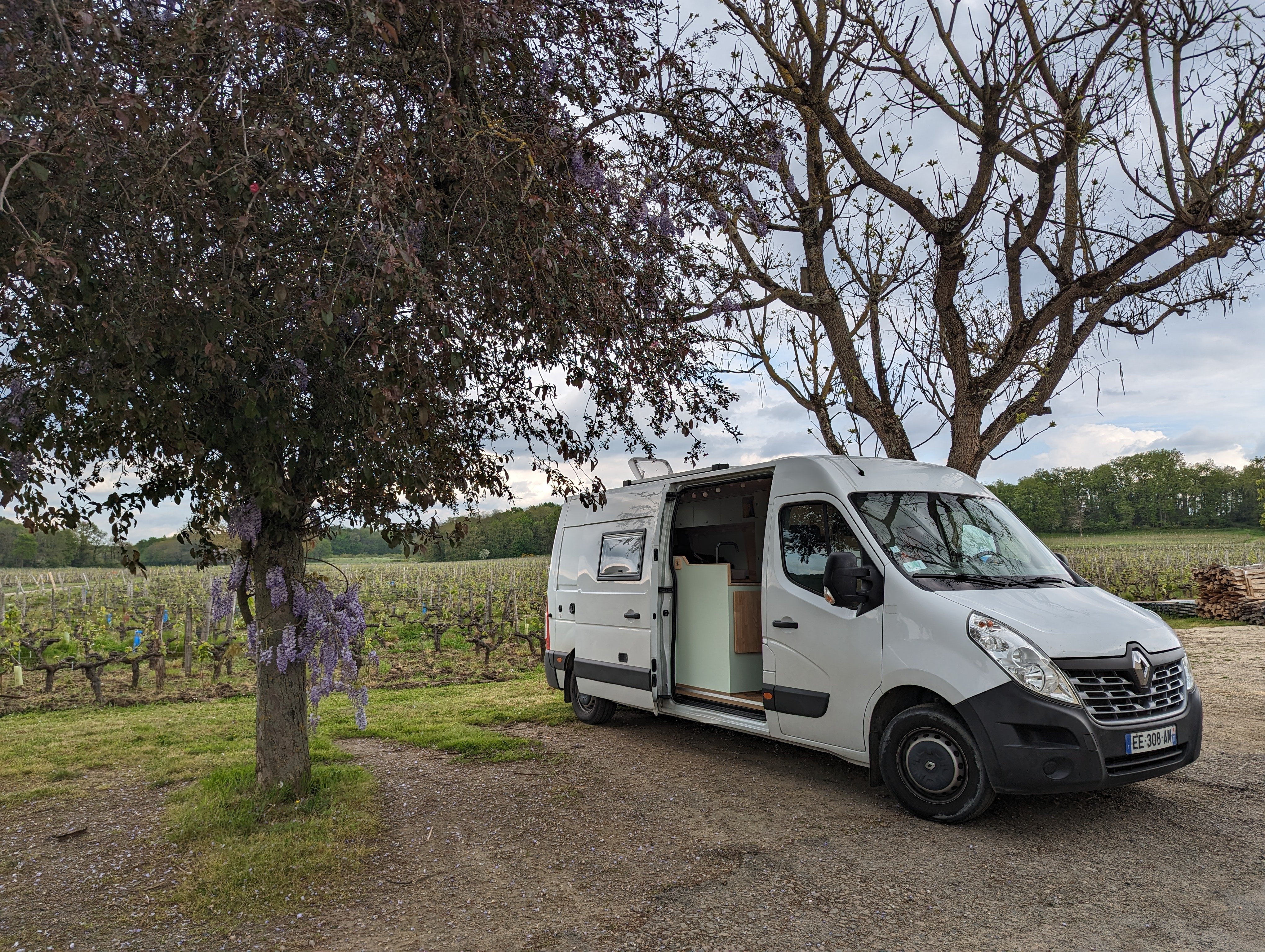 Entre les vignes et les glycines.