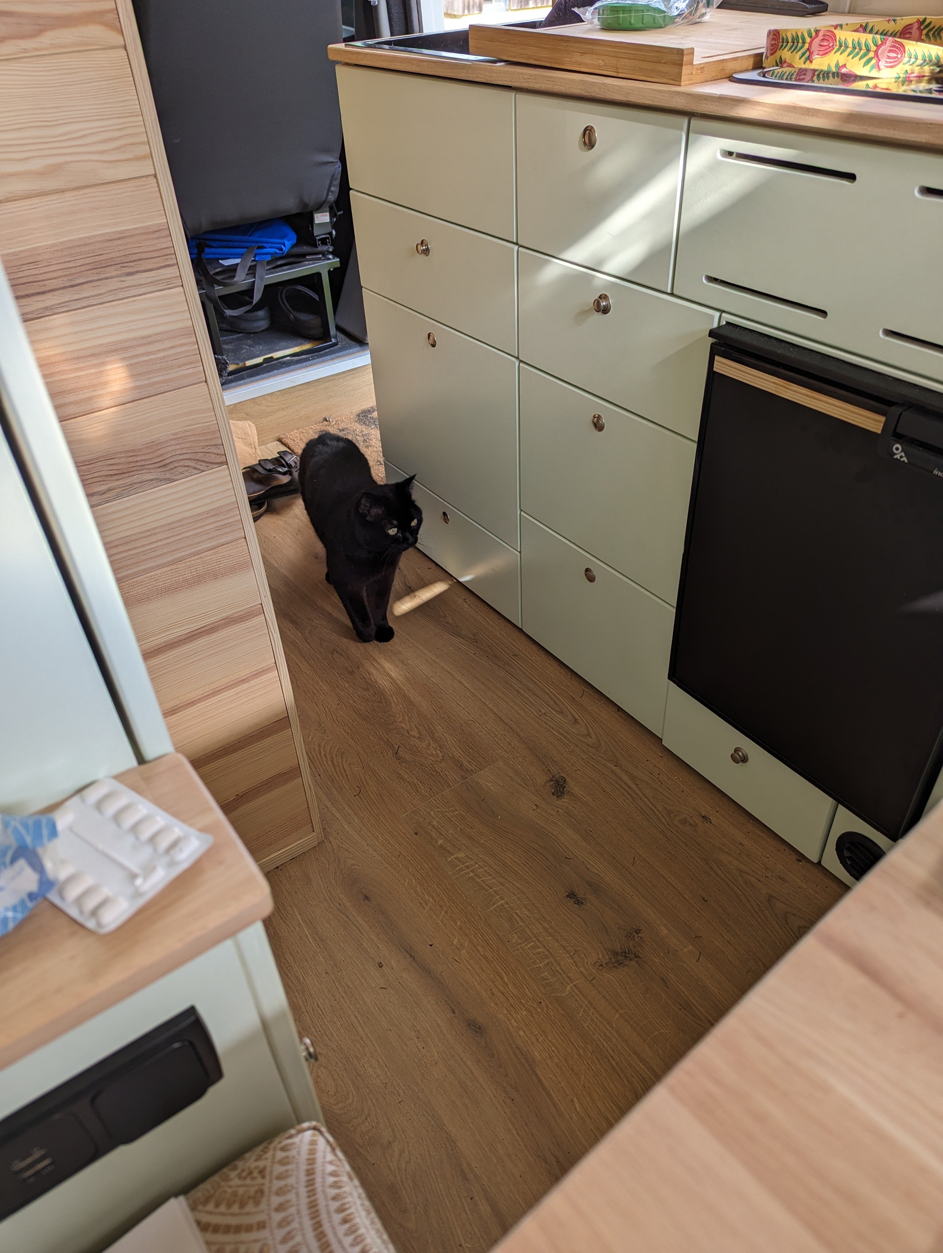 Un nouveau visiteur de Chocobo.