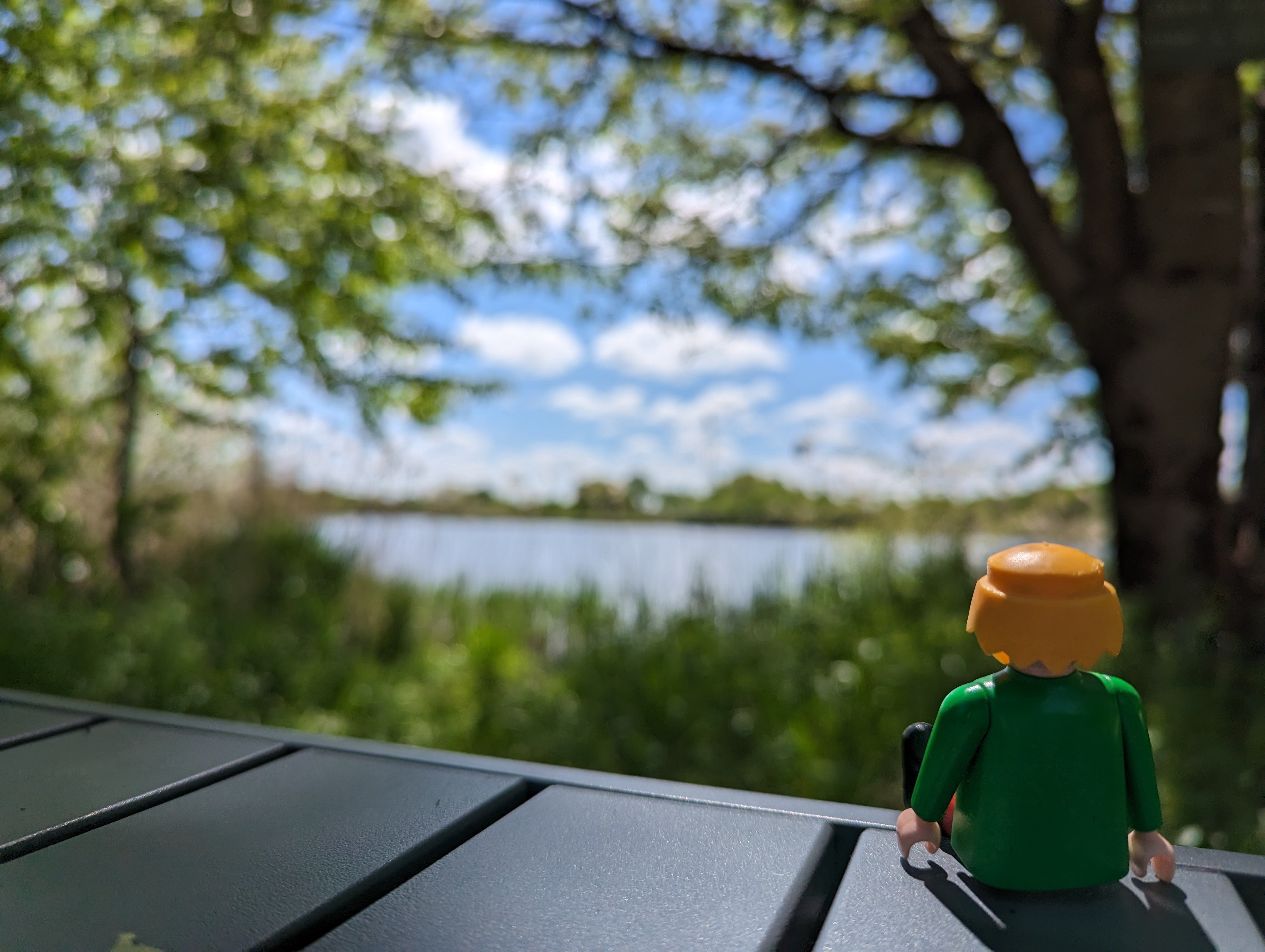 Hubrecht (le playmobil qui veille sur ma conduite) regarde le paysage.