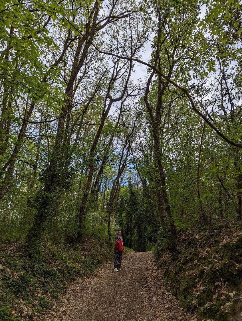 Camouflage forestier.