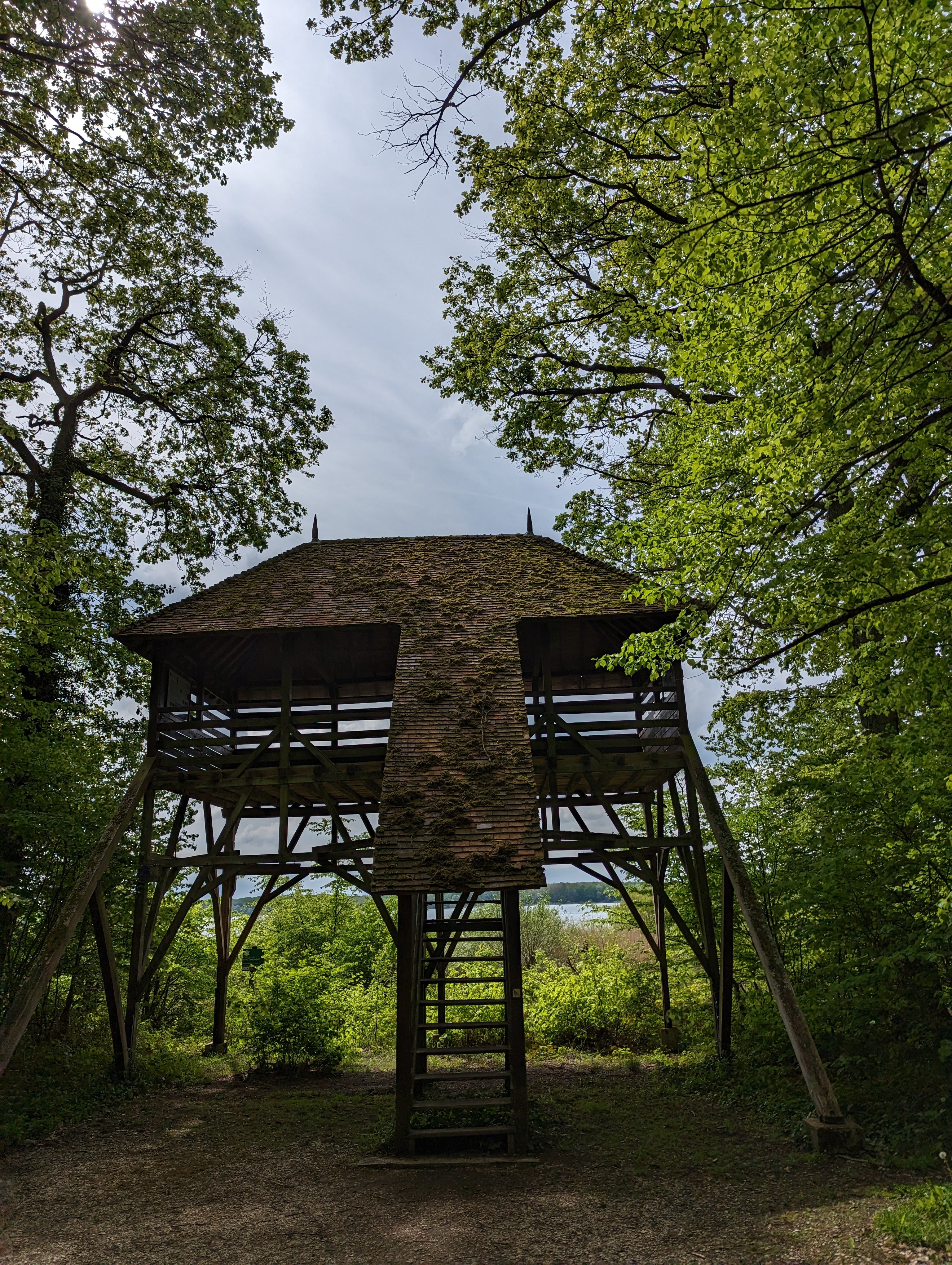 L’observatoire aux oiseaux.