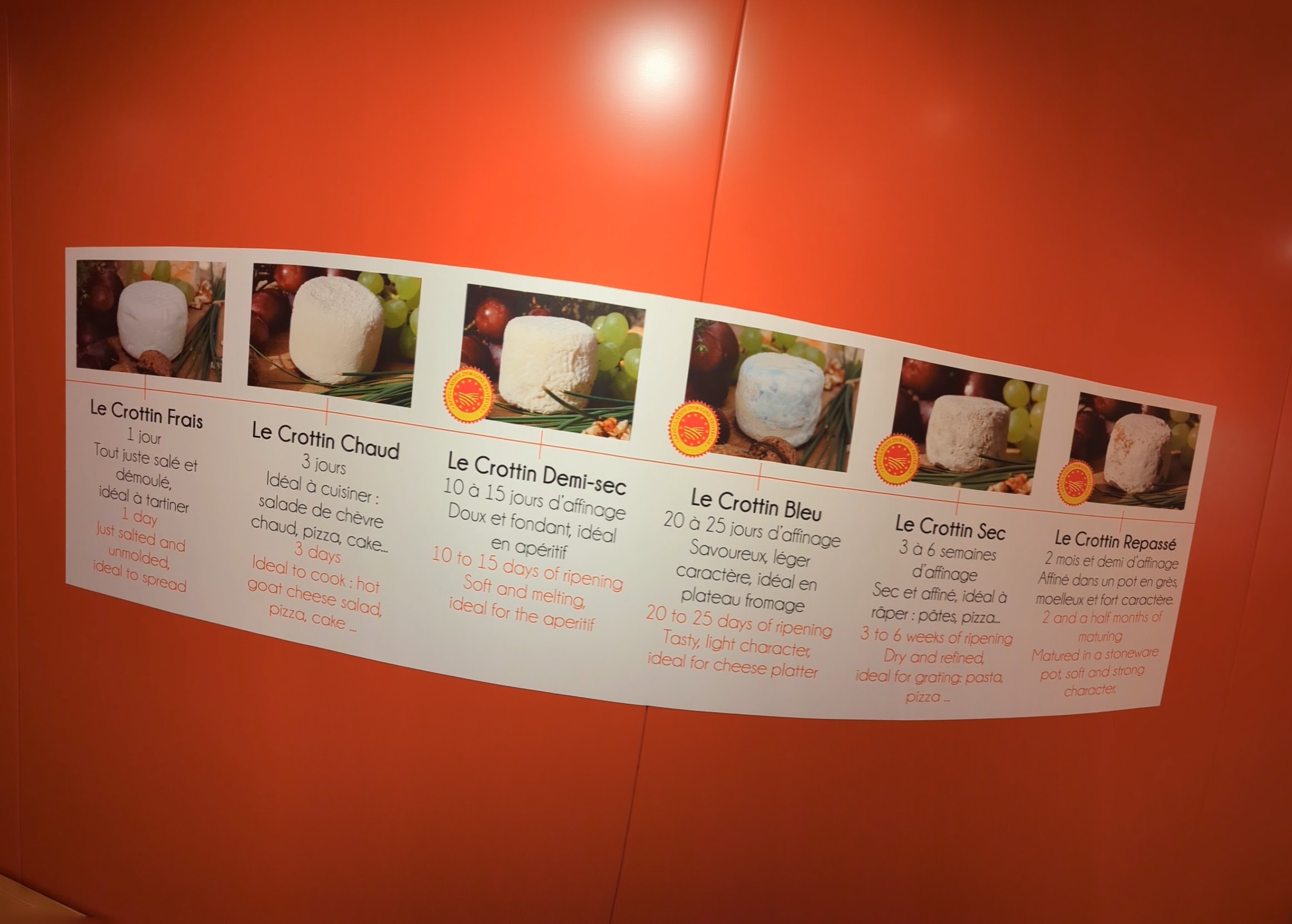 Du frais au repassé, ils sont tous délicieux.