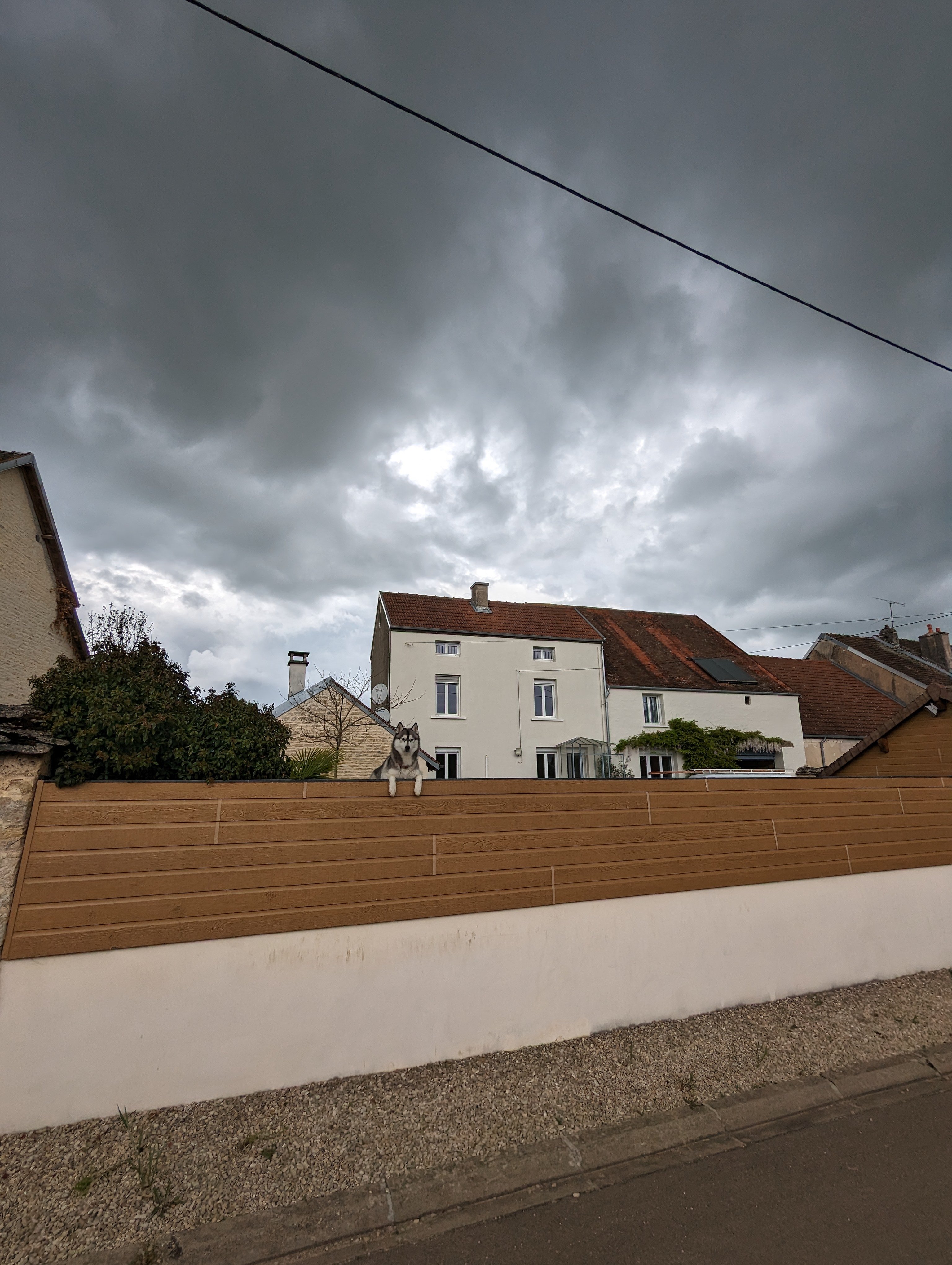 Monsieur Chien, oklm sur son balcon.