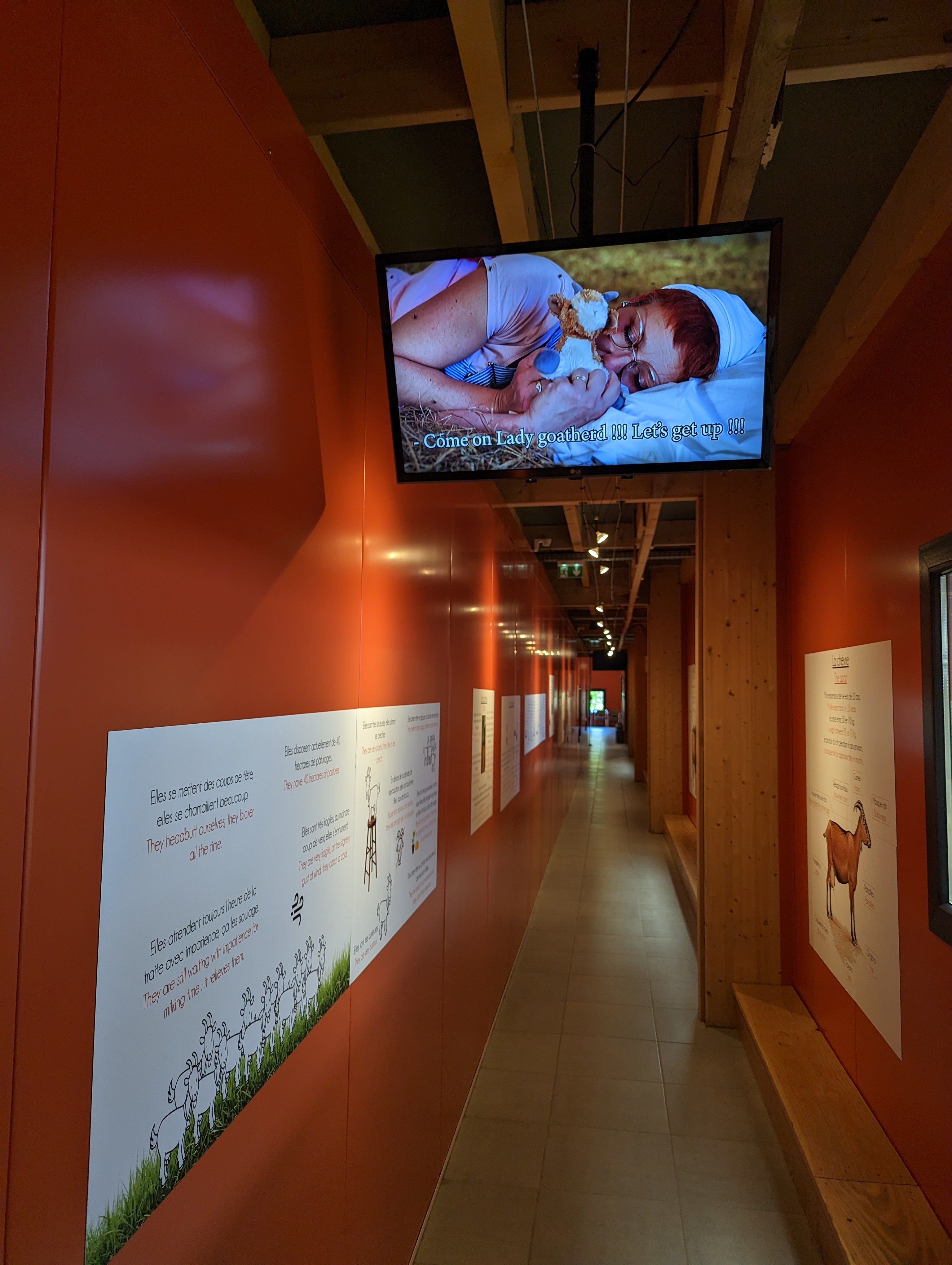 Une partie de la visite, avec des grandes baies vitrées pour voir les chèvres.