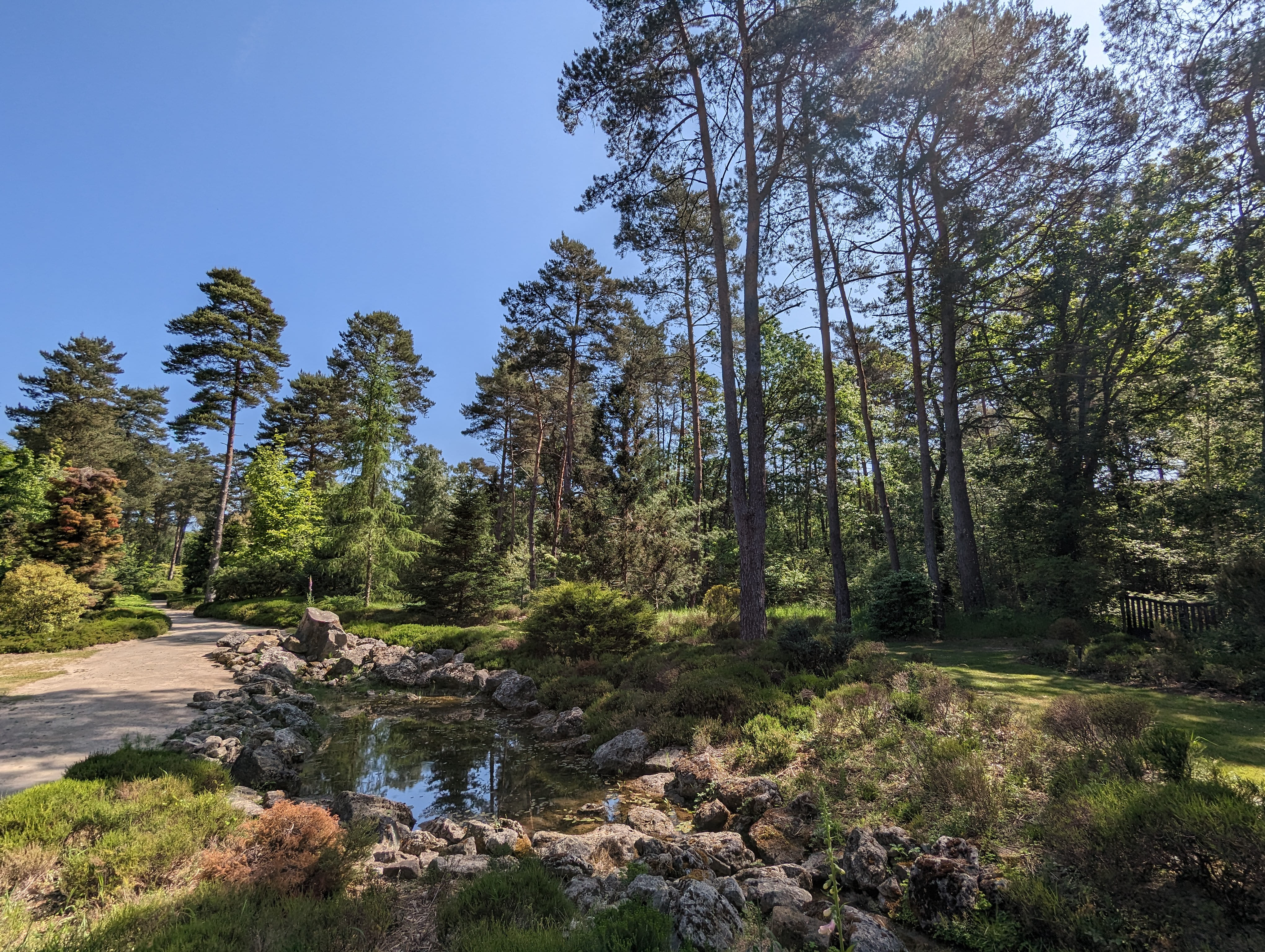 Peinture nature. Nature peinture.