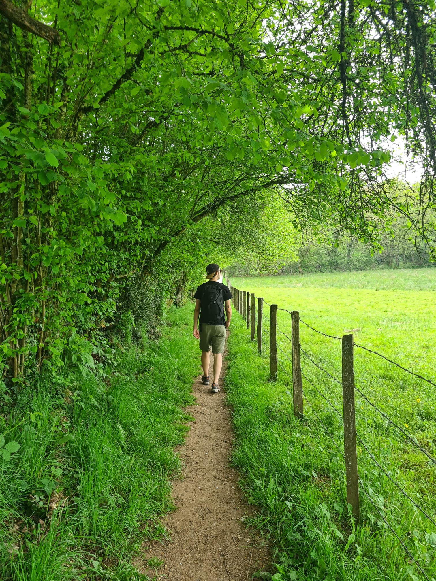 « Quand je marche »