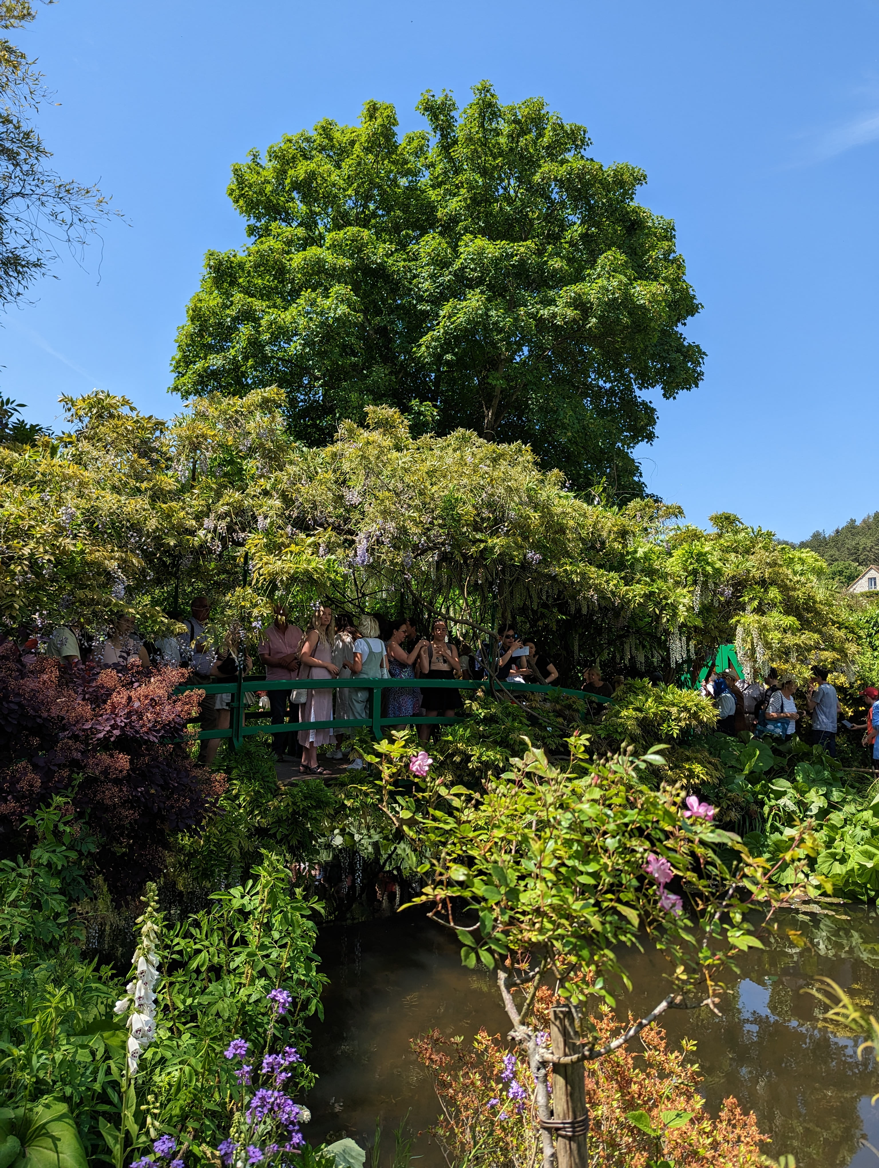 Les jardins de Monet et des gens un peu partout.