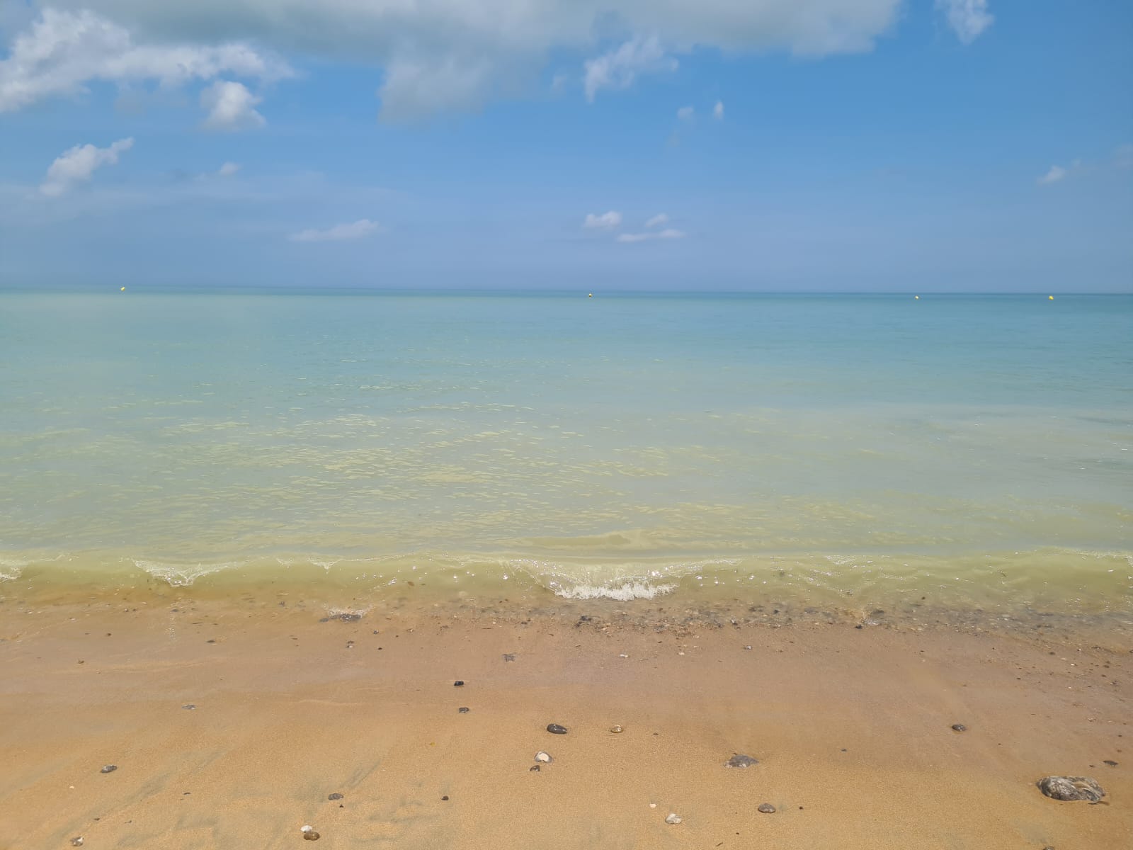 Cinquante nuances de kiff