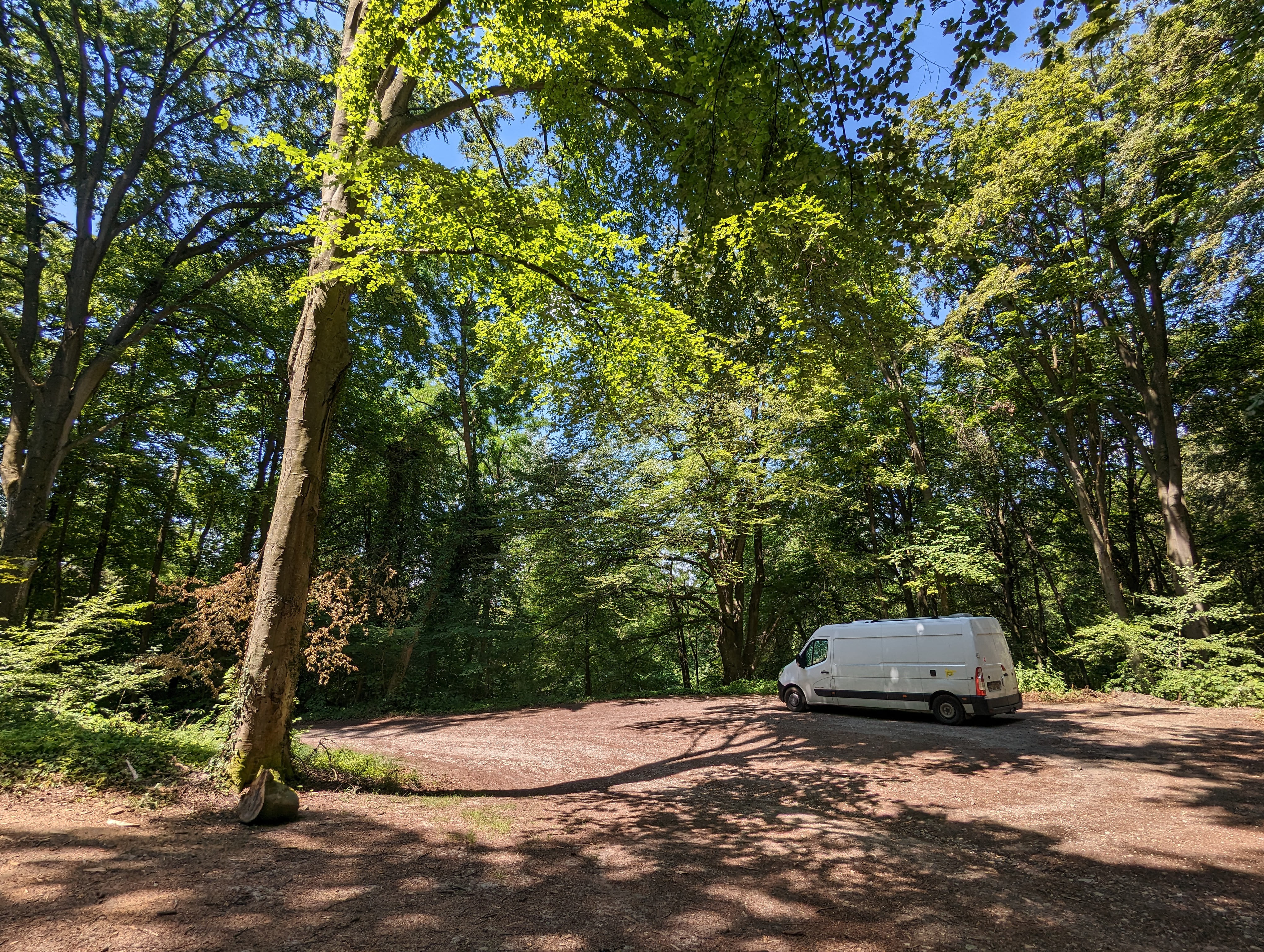 Chocobo, à l'ombre, oklm