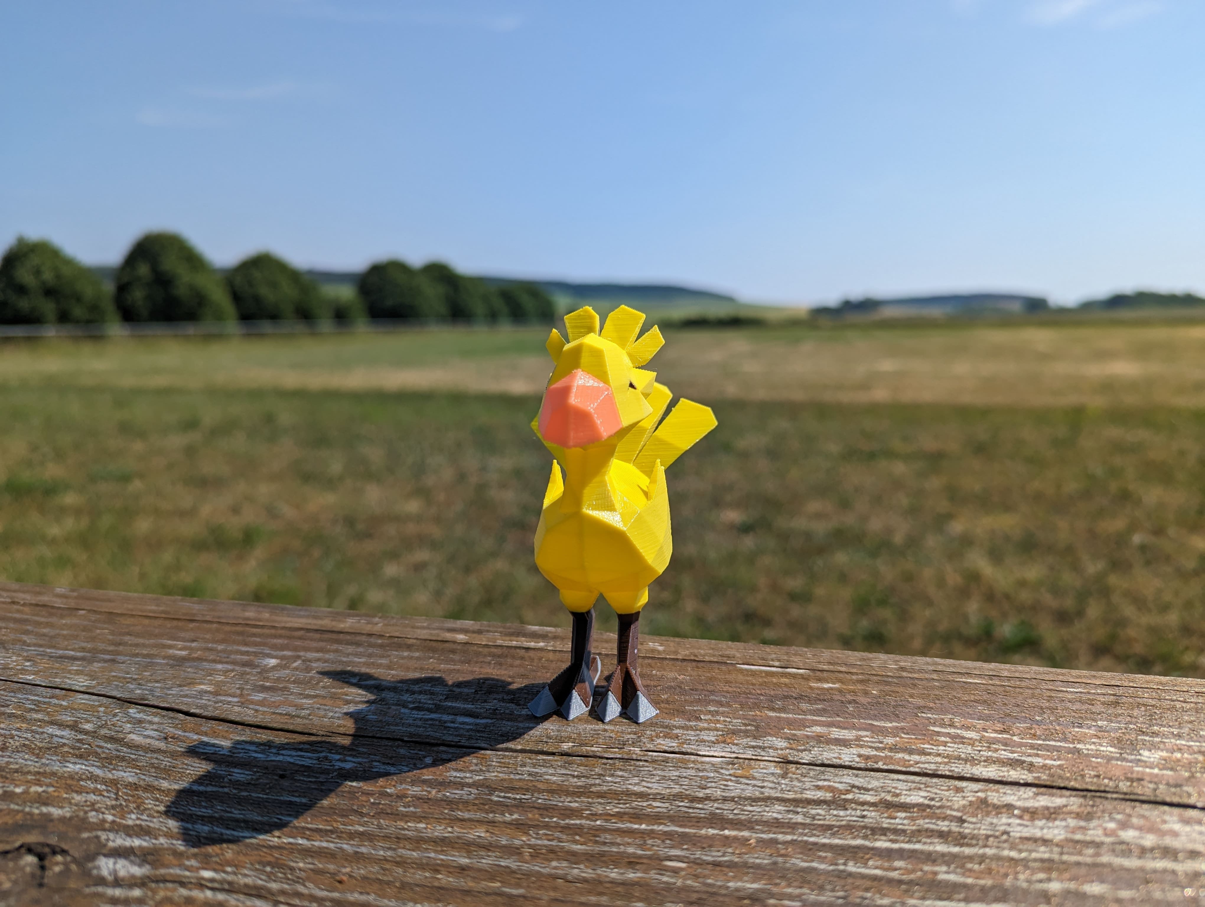 Quoicoubébou, un chocobo dans Chocobo