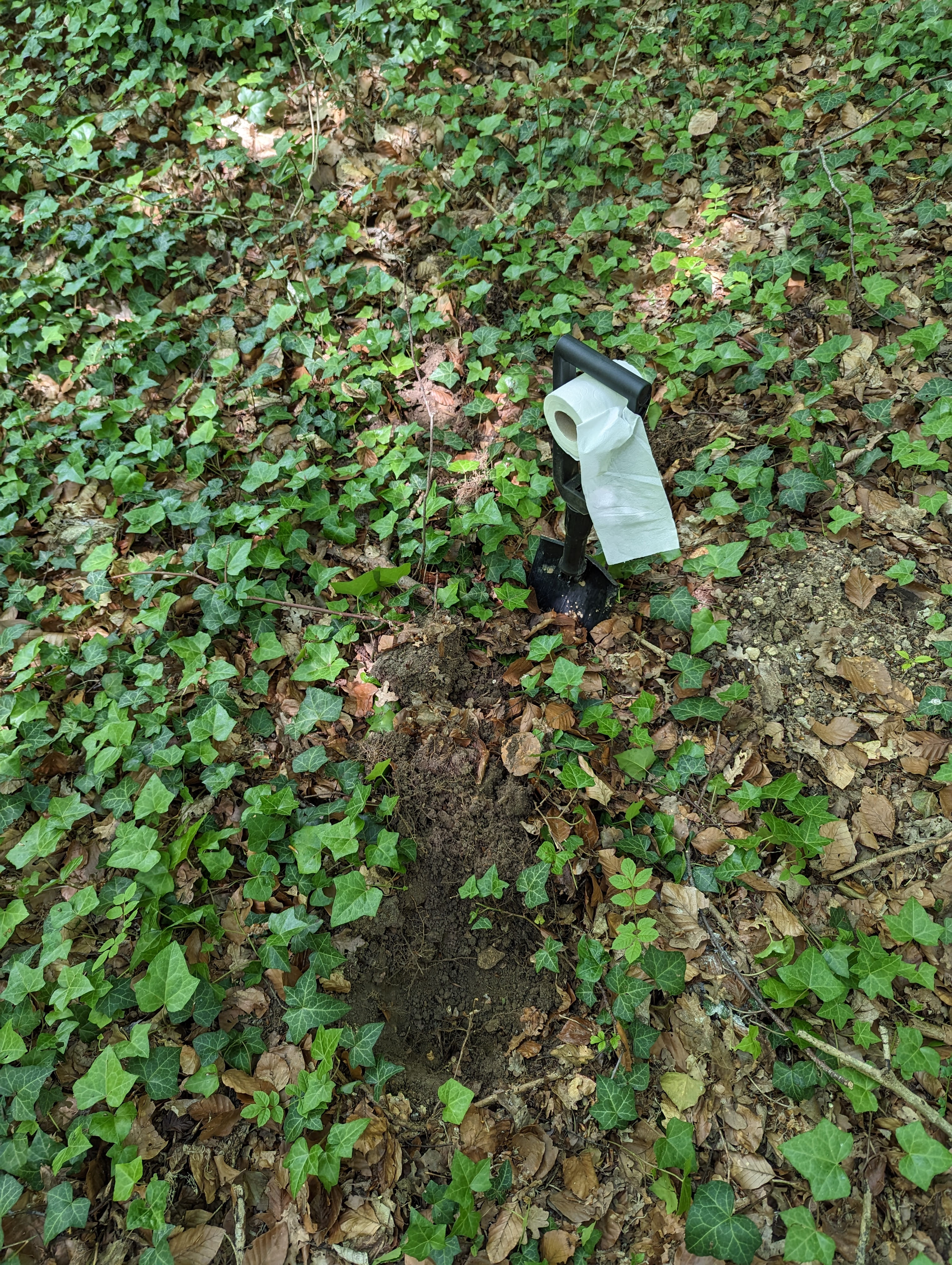 Toilettes au naturel