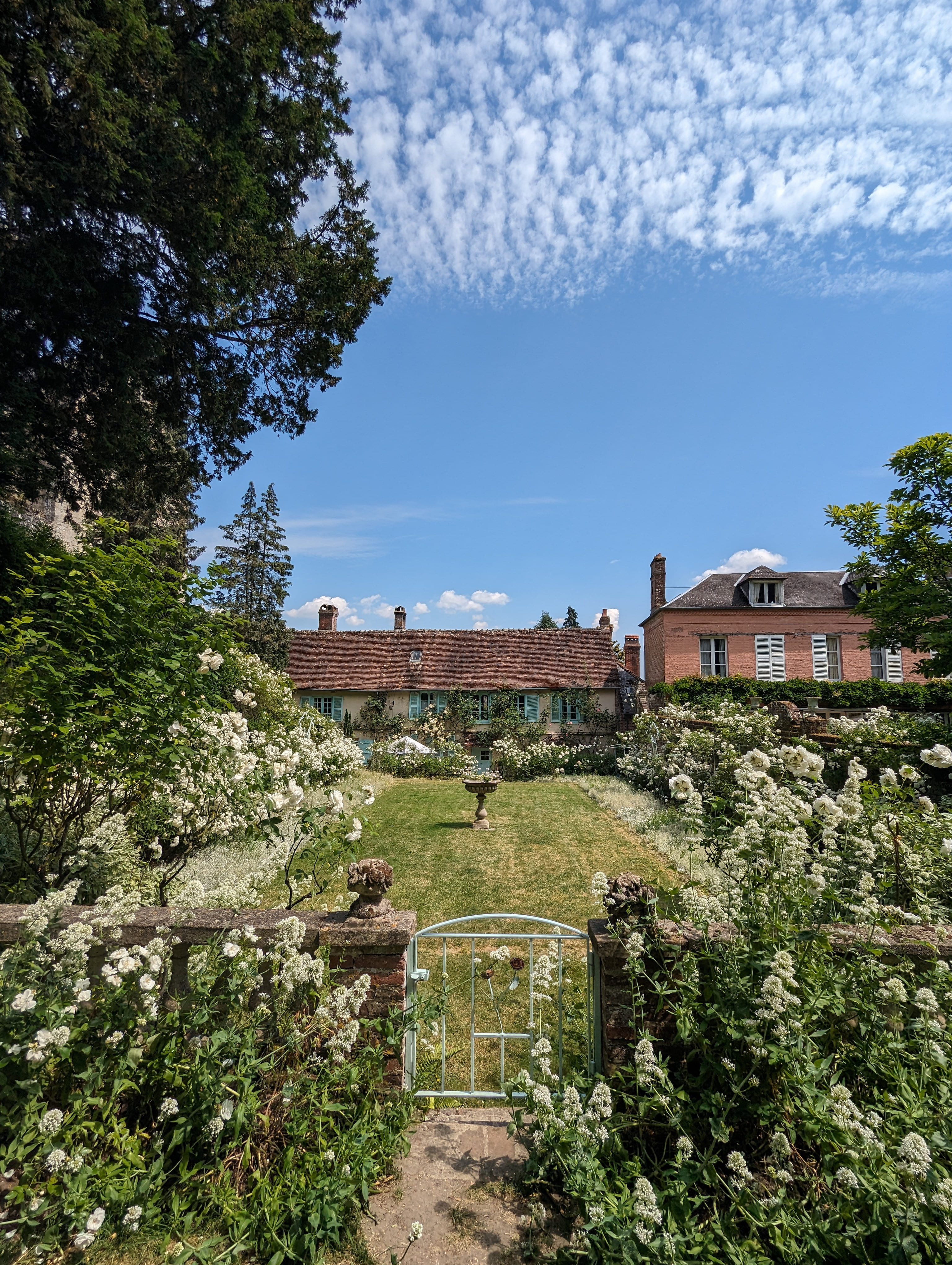 Un jardin qui ne fait pas sans blanc