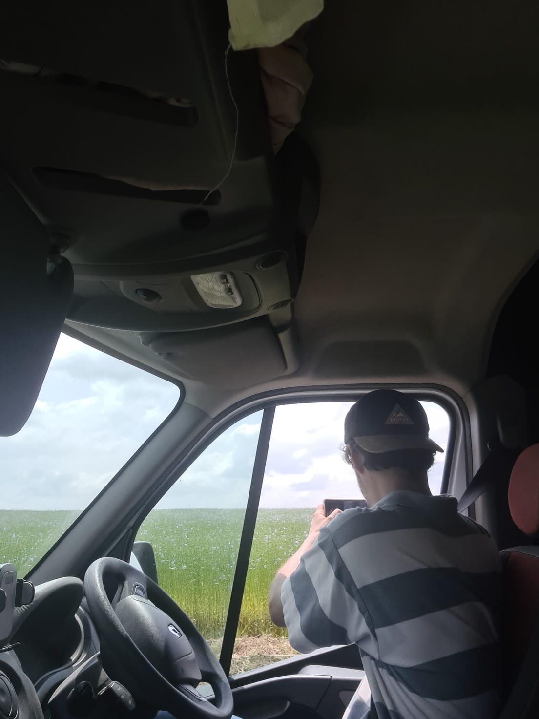 Le lin tape la pause