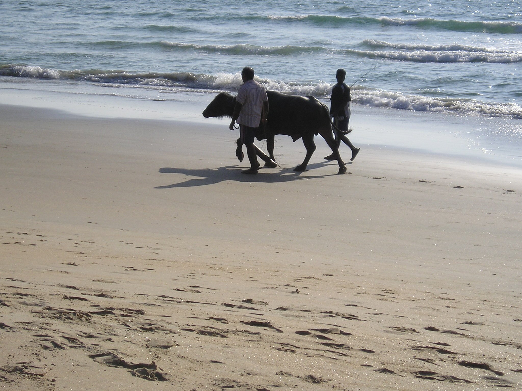 Marche le long de la mer, une plage de Goa, photo Sylvie Lainé 2008