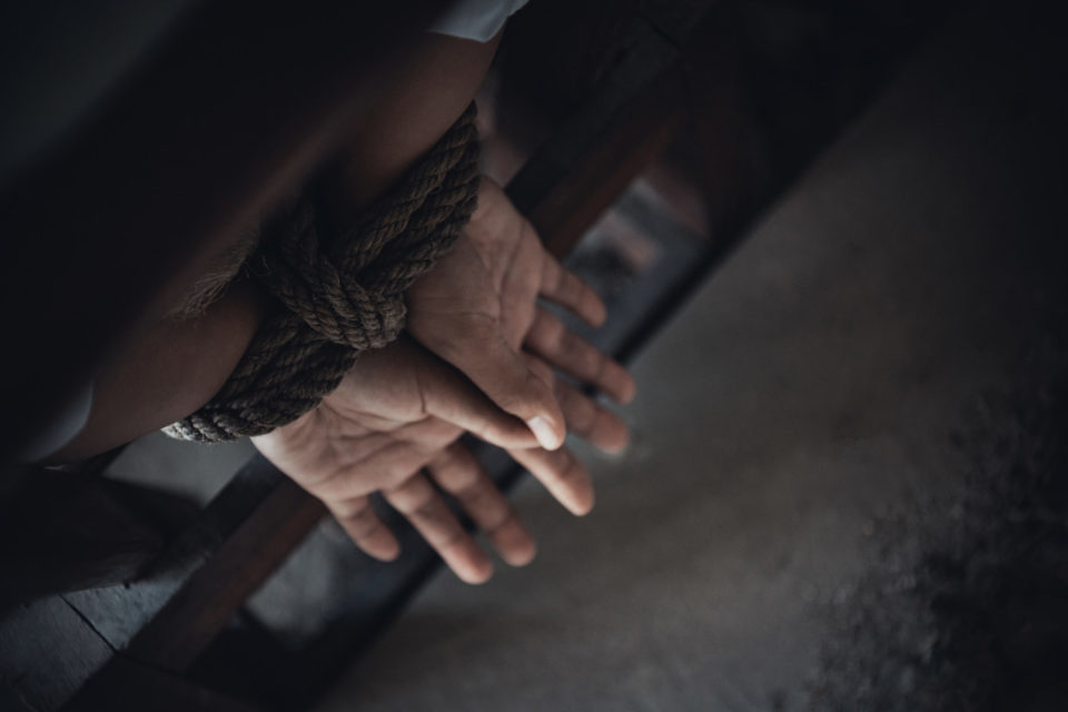 Images d'illustration