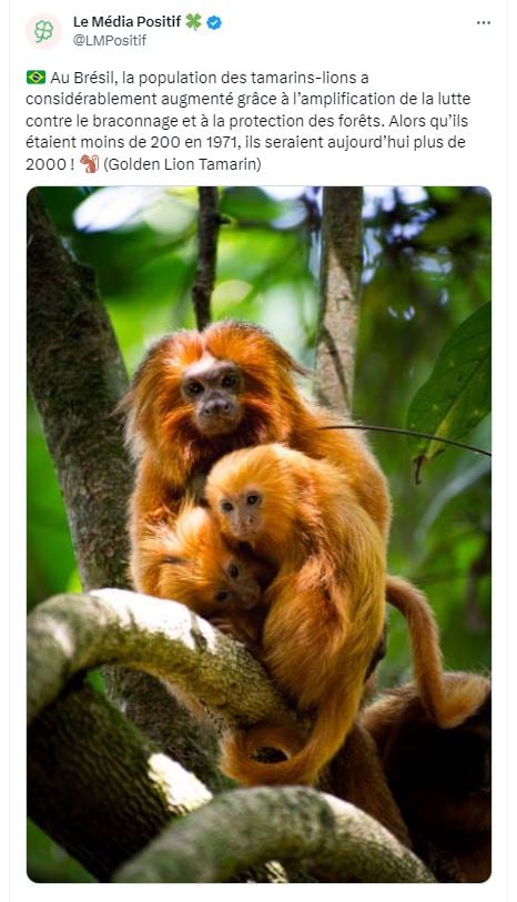 Tweet Le Media Positif du 13 août